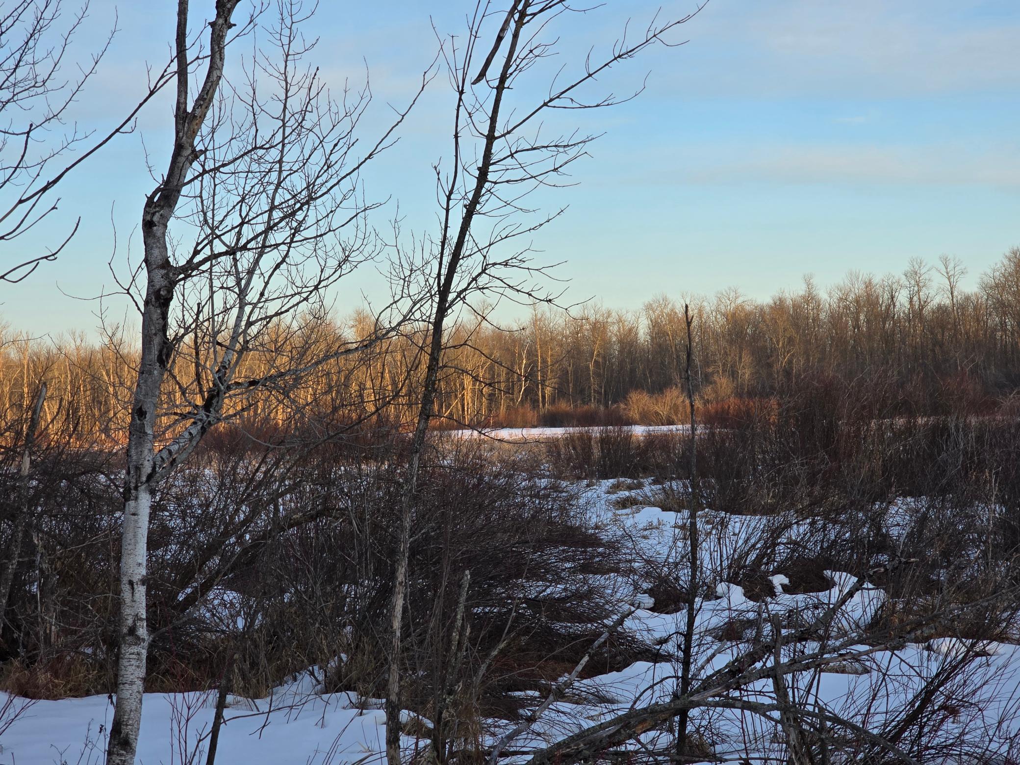 land for sale at TBD Highway 47 in Isle, MN