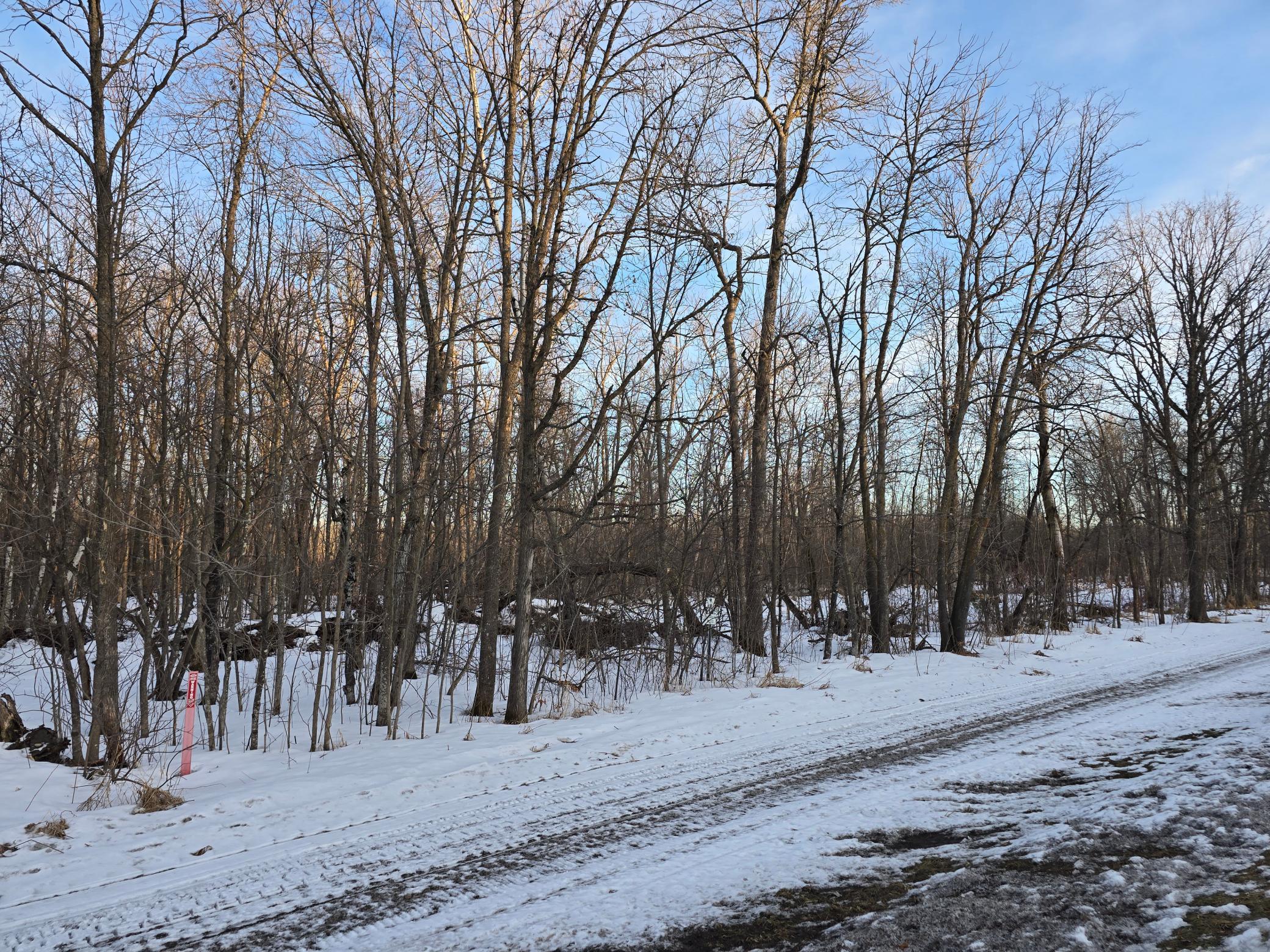 land for sale at TBD Highway 47 in Isle, MN (photo 12 of 13)