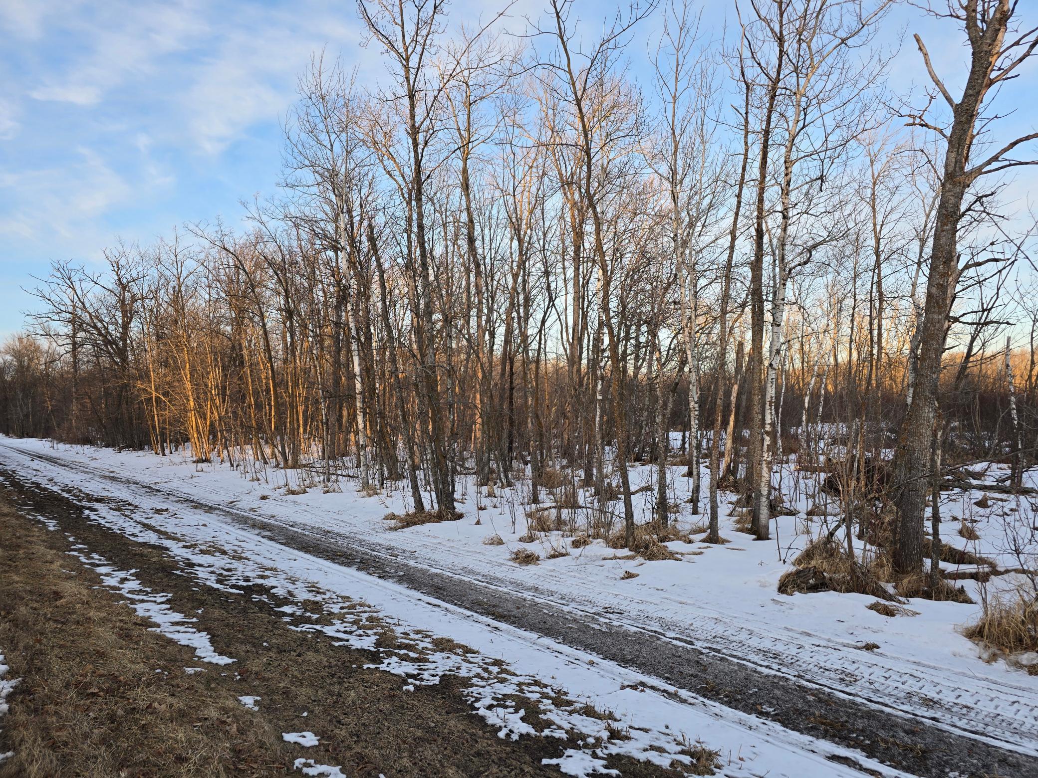 land for sale at TBD Highway 47 in Isle, MN (photo 3 of 13)