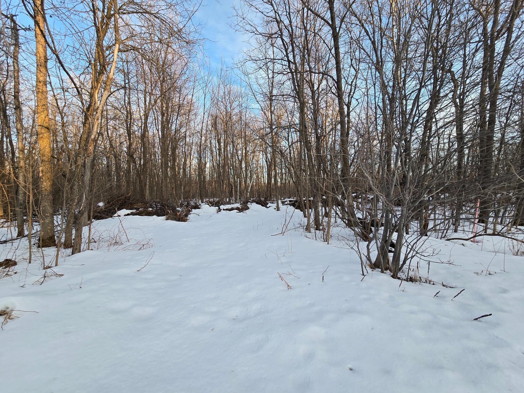 land for sale at TBD Highway 47 in Isle, MN (photo 10 of 13)