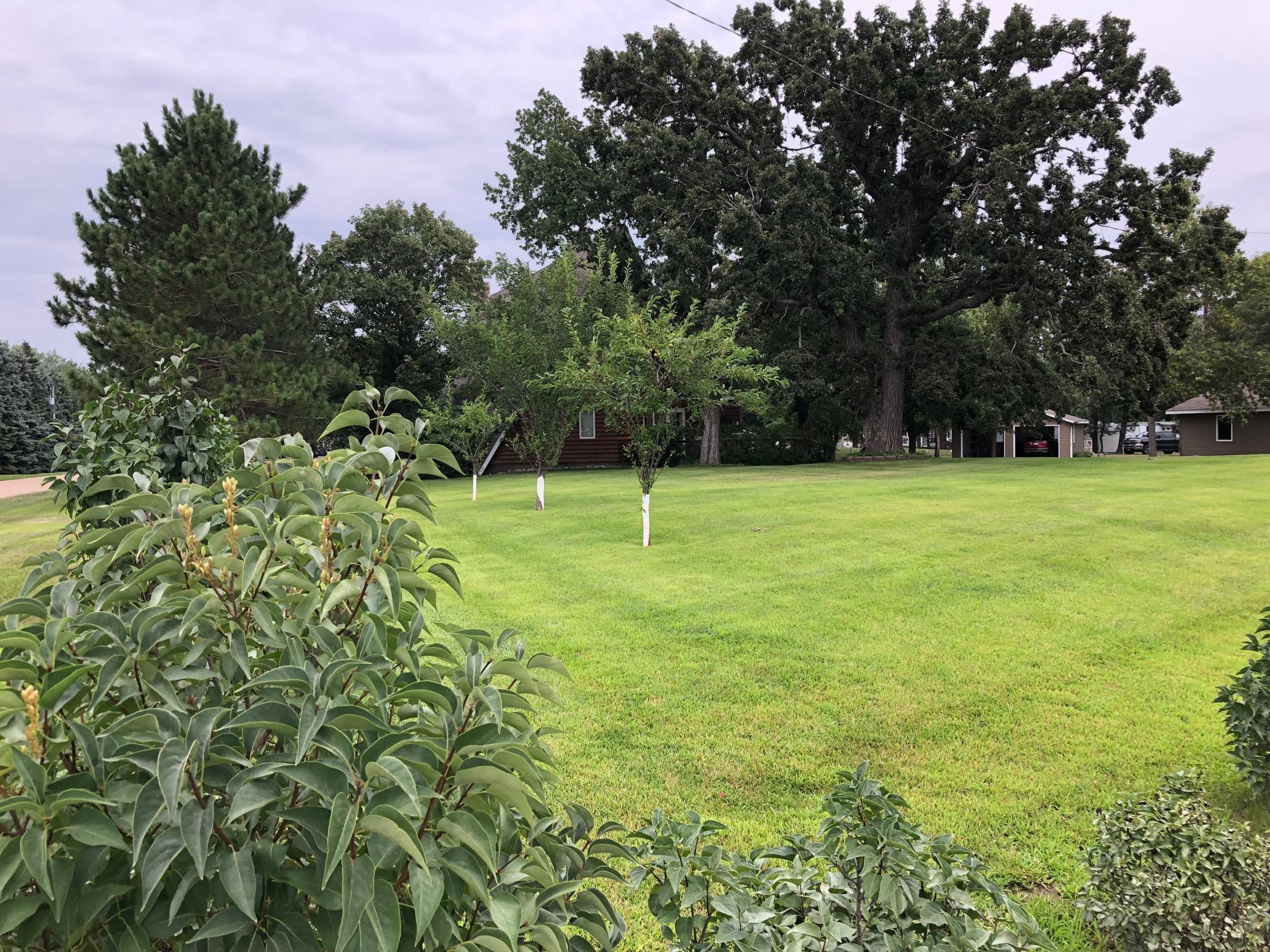 1993 single family home for sale at 26455 State Highway 78 in Battle Lake, MN — 3 bed, 2 bath (photo 28 of 37)