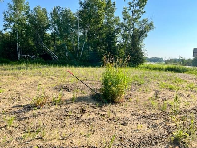 TBD CO HWY 71, Wadena MN 56482 - Photo 3 of 4