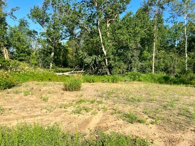 TBD CO HWY 71, Wadena MN 56482 - Photo 4 of 4
