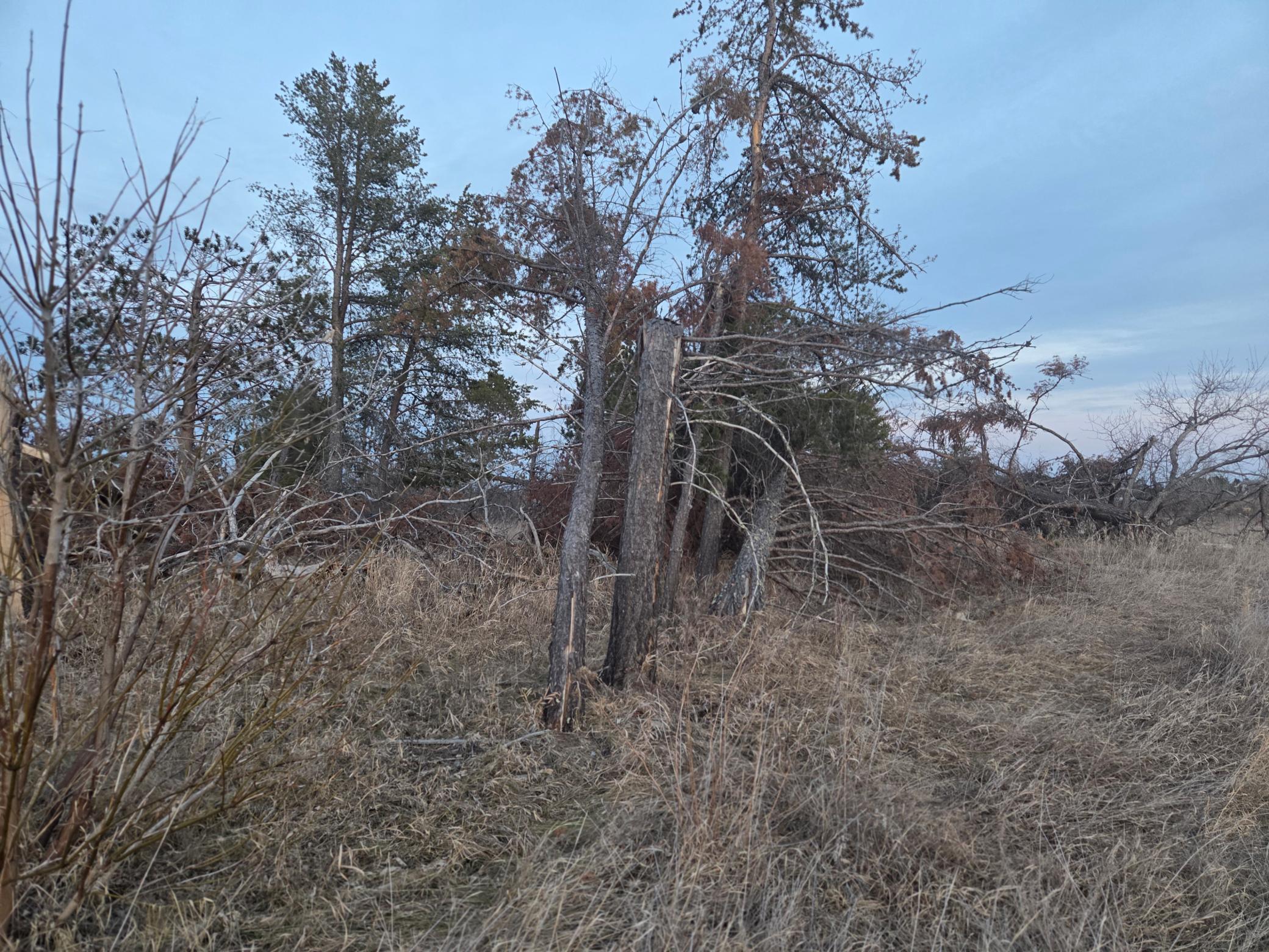 TBD Lot 5 Beartooth Avenue SW, Bemidji MN 56601 - Photo 3 of 6