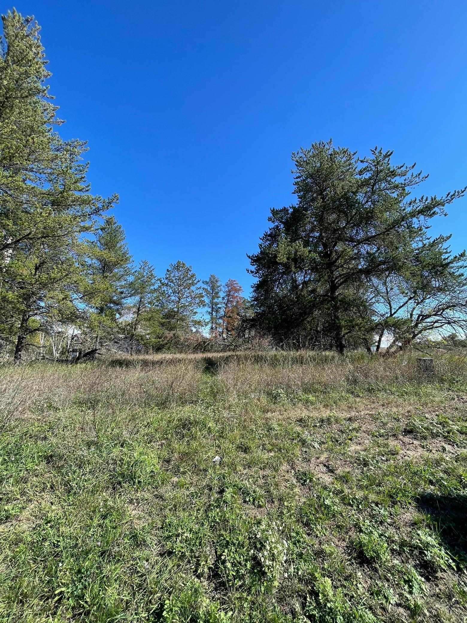 TBD Lot 5 Beartooth Avenue SW, Bemidji MN 56601 - Photo 6 of 6