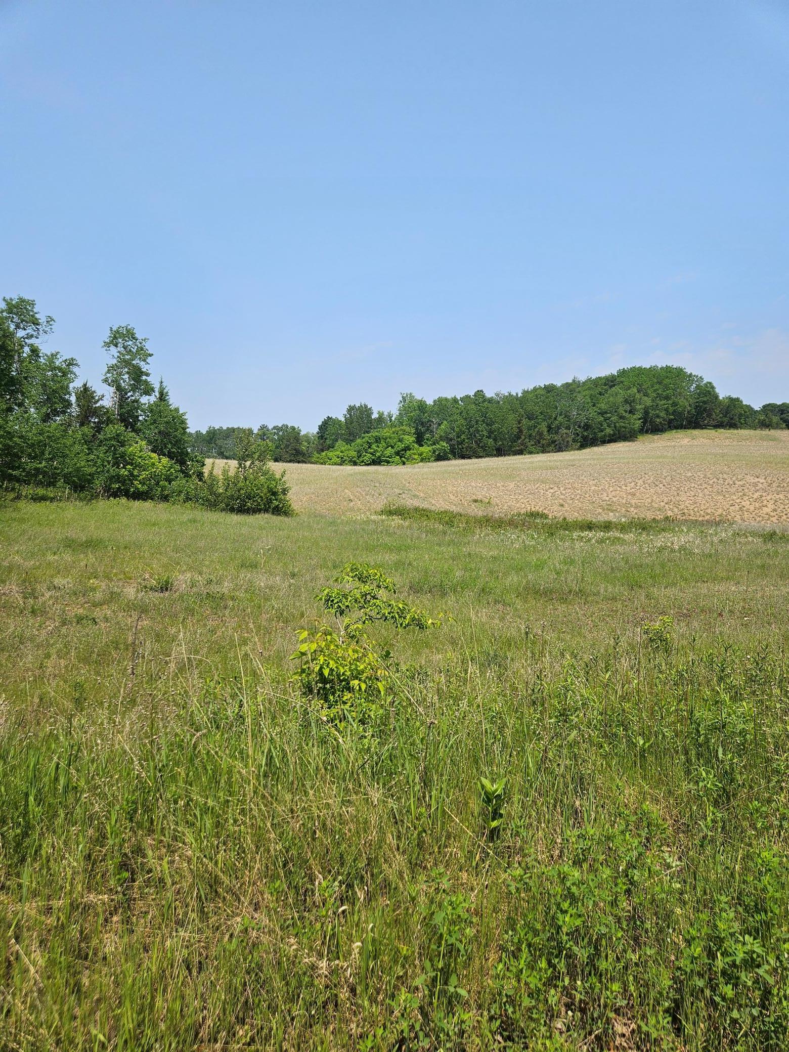 land for sale at TBD 20 Acres Ranchette Drive in Breezy Point, MN (photo 4 of 12)