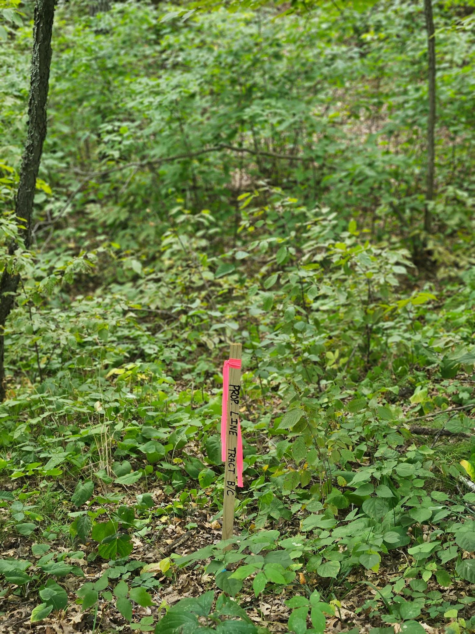 land for sale at TBD Tract C Richfield Road SW in Pillager, MN (photo 11 of 16)