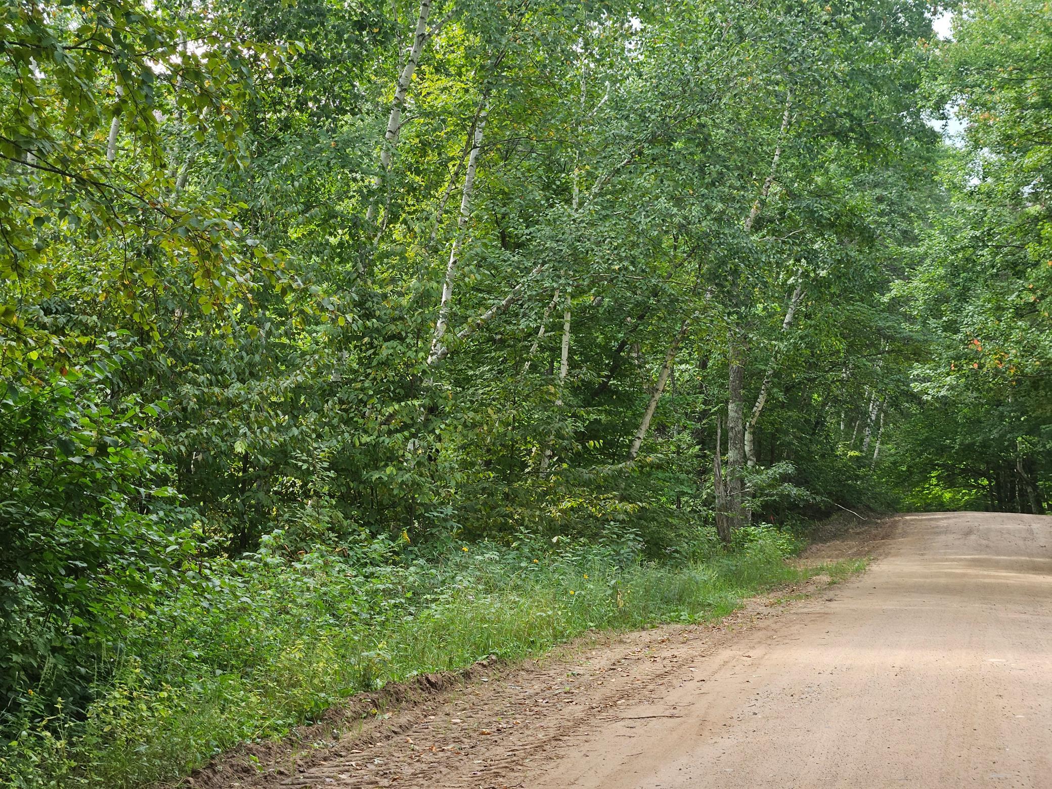land for sale at TBD Tract C Richfield Road SW in Pillager, MN (photo 13 of 16)