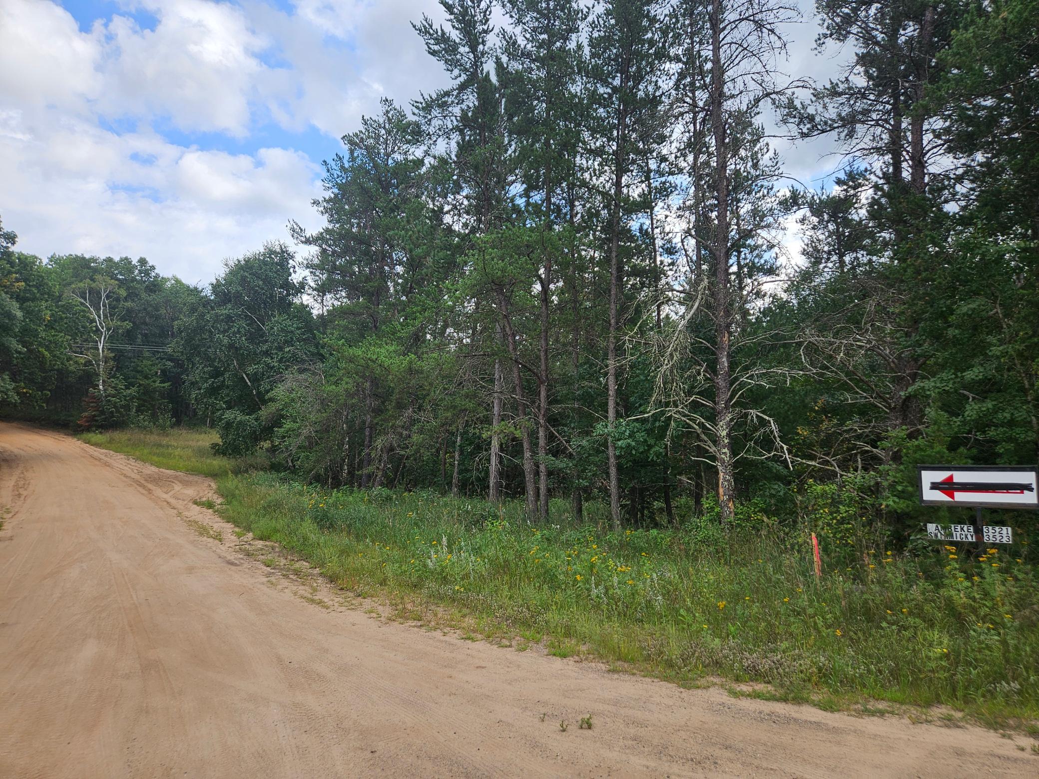 TBD Tract C Richfield Road SW, Pillager MN 56473 - Photo 8 of 8