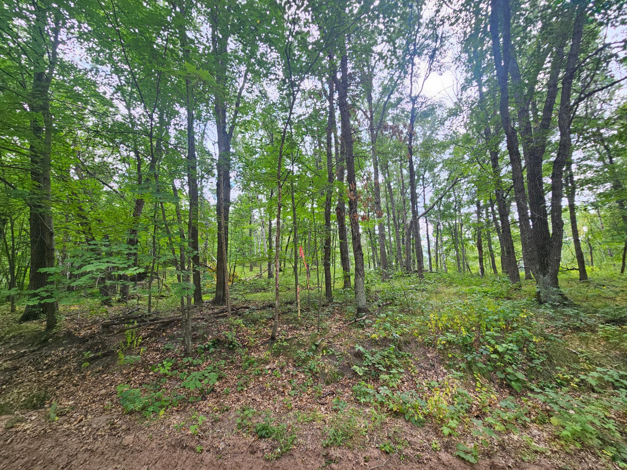 land for sale at TBD Tract C Richfield Road SW in Pillager, MN (photo 3 of 16)