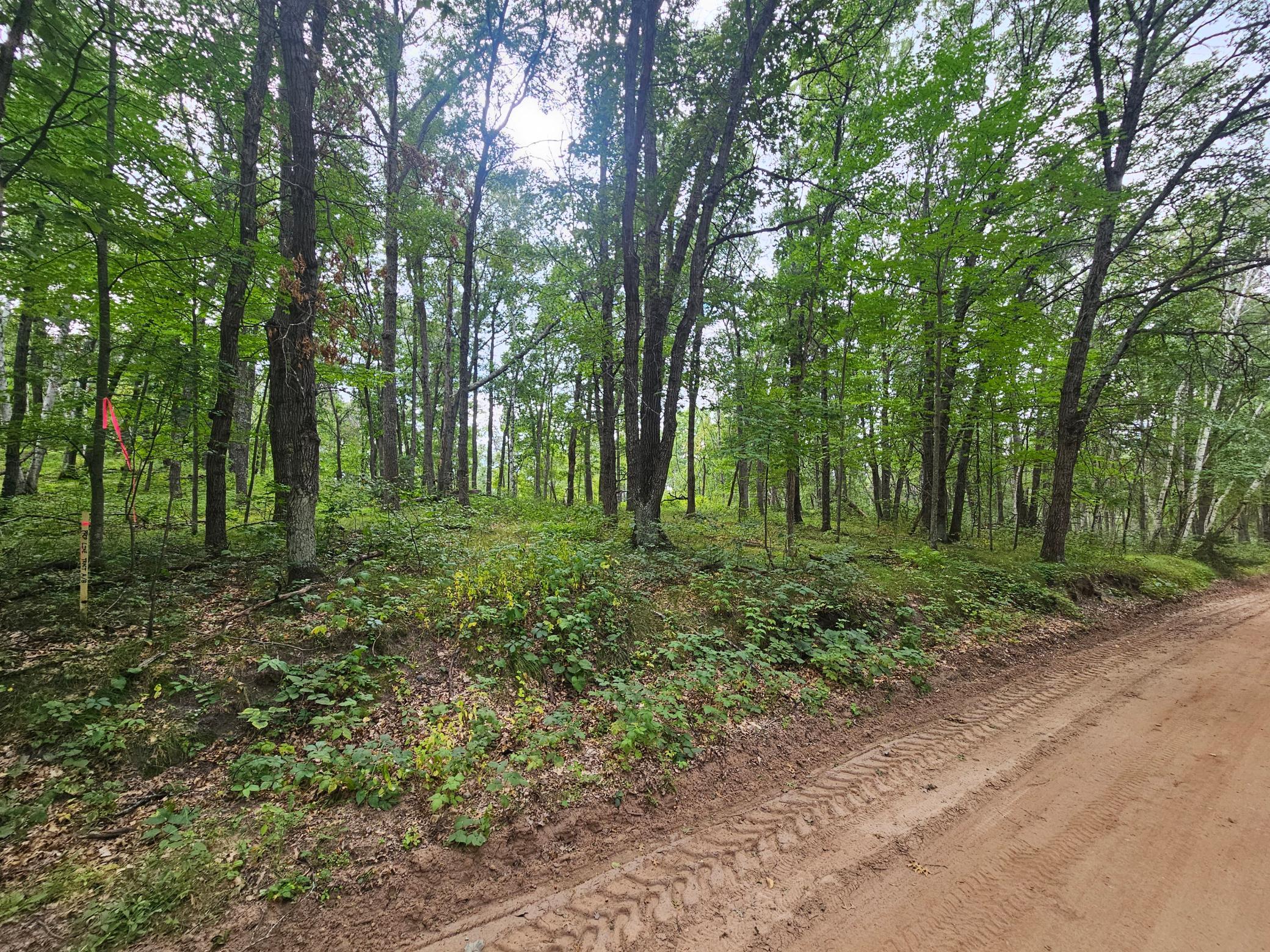 TBD Tract C Richfield Road SW, Pillager MN 56473 - Photo 2 of 8