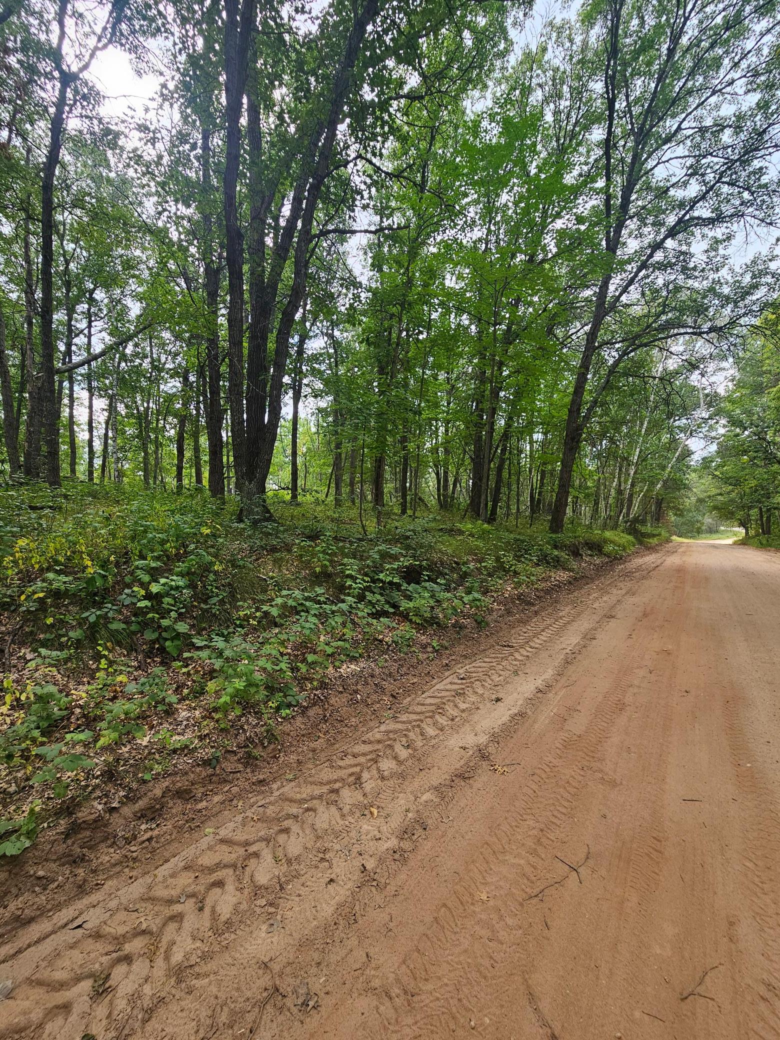 land for sale at TBD Tract C Richfield Road SW in Pillager, MN (photo 5 of 16)