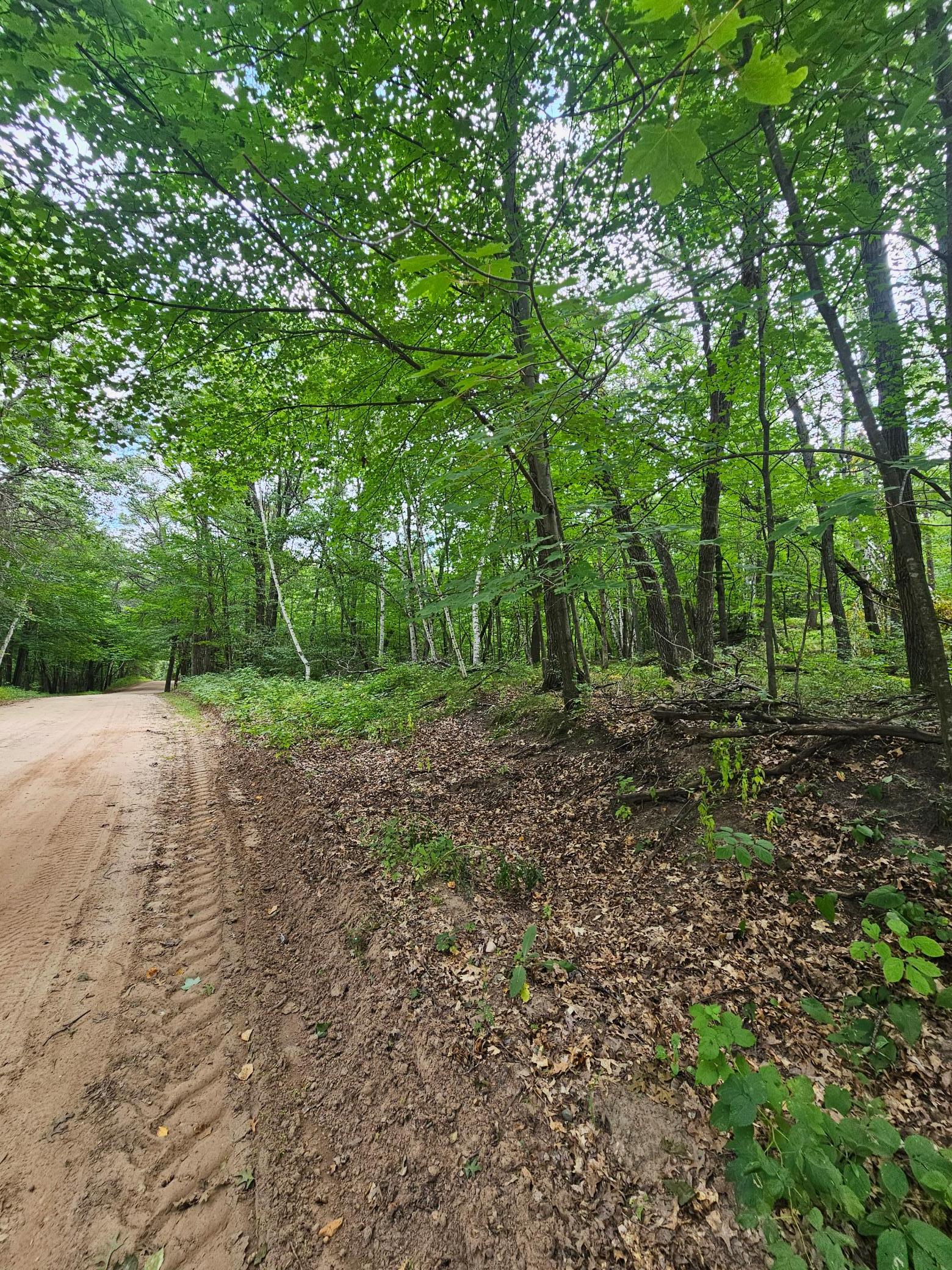 TBD Tract C Richfield Road SW, Pillager MN 56473 - Photo 3 of 8