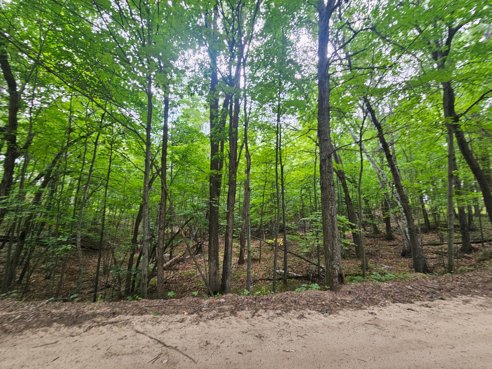 land for sale at TBD Tract C Richfield Road SW in Pillager, MN (photo 7 of 16)