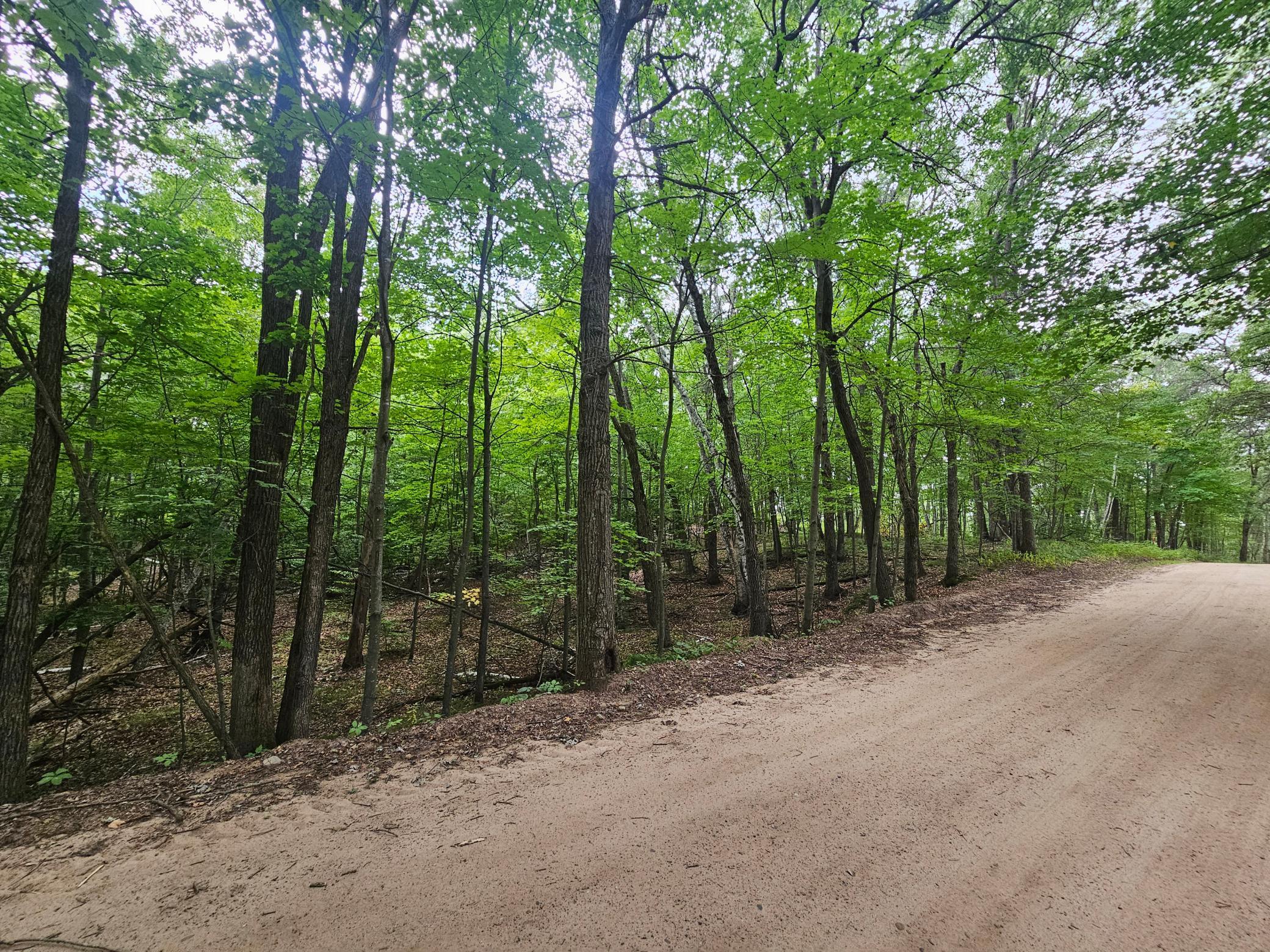 TBD Tract C Richfield Road SW, Pillager MN 56473 - Photo 4 of 8