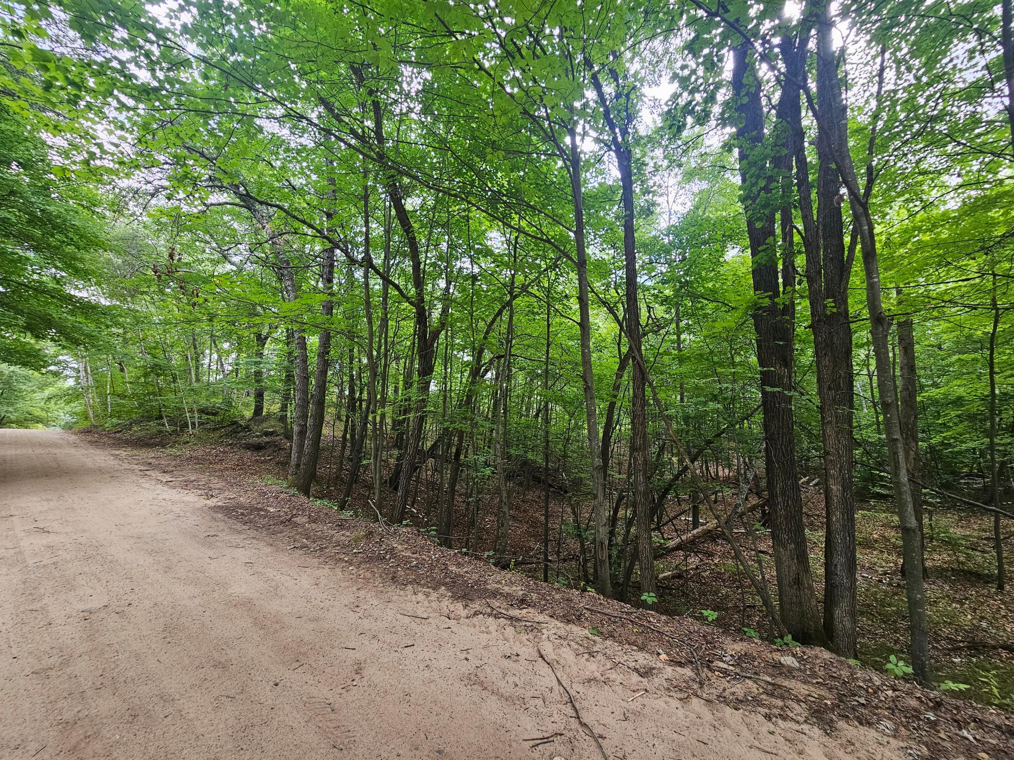 land for sale at TBD Tract C Richfield Road SW in Pillager, MN (photo 9 of 16)