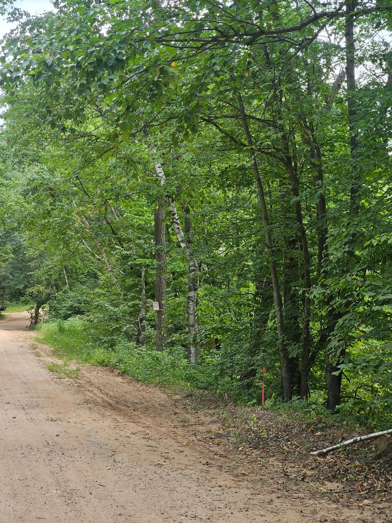 TBD Tract C Richfield Road SW, Pillager MN 56473 - Photo 5 of 8