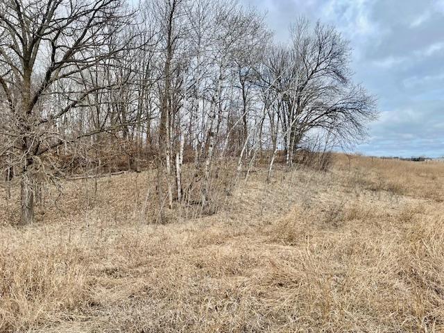 TBD CO HWY 1, Underwood MN 56586 - Photo 3 of 14