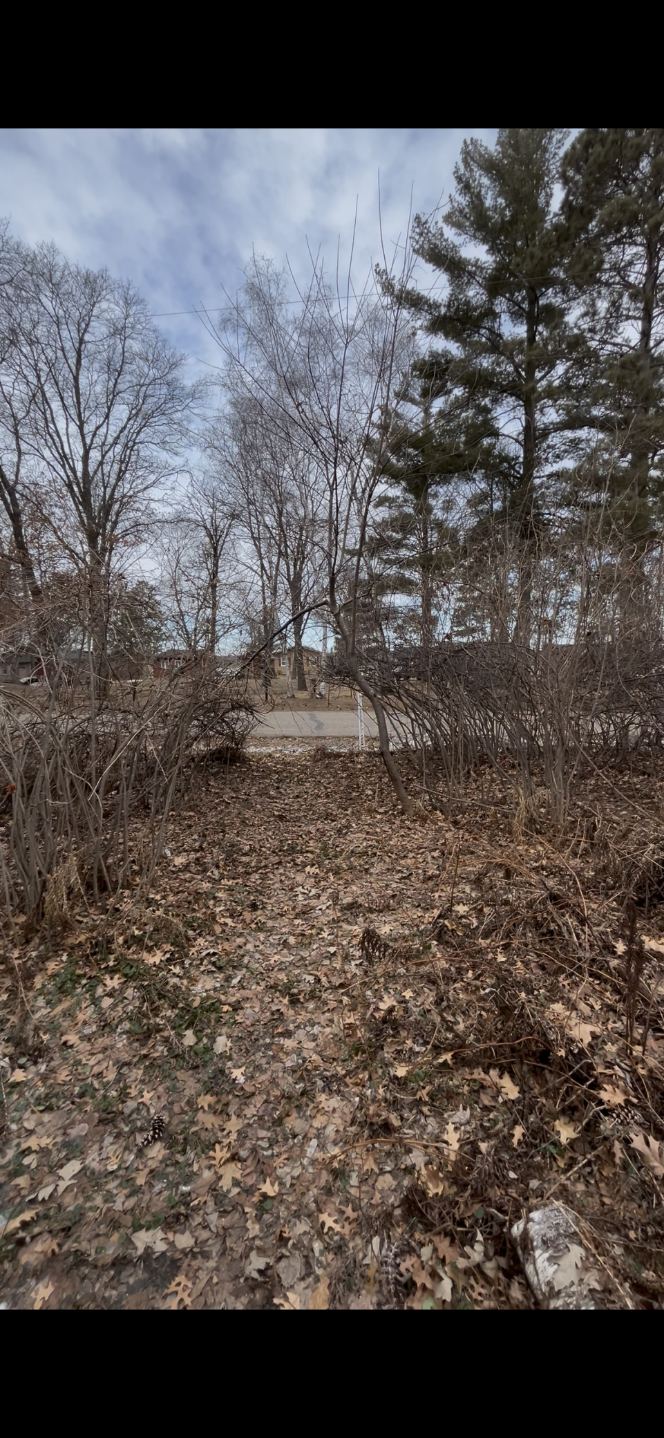land for sale at TBD Big Pine Trail in Crosslake, MN (photo 2 of 4)