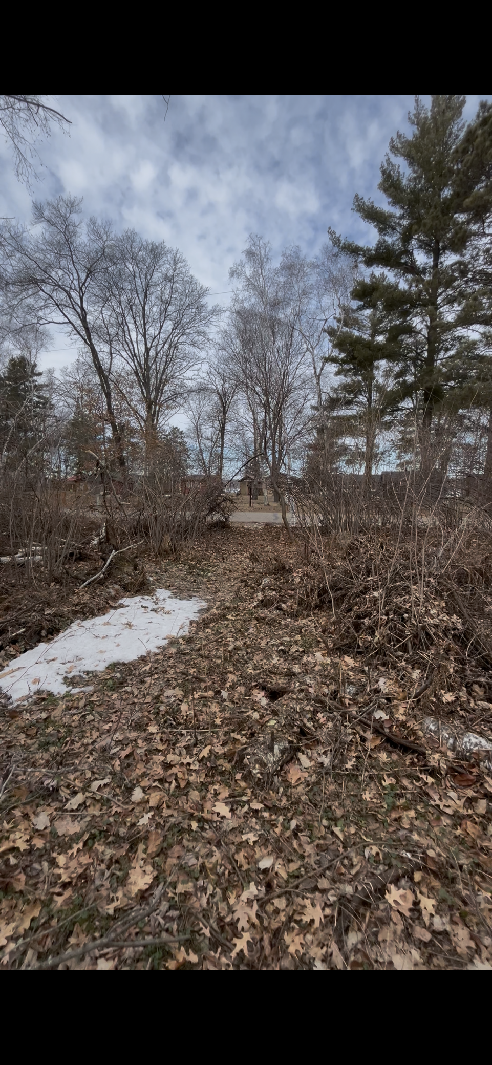 land for sale at TBD Big Pine Trail in Crosslake, MN (photo 3 of 4)