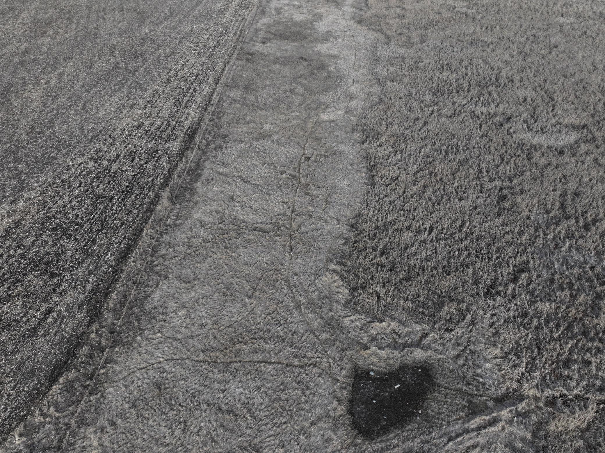 land for sale at TBD County Road 11 in Litchville, ND (photo 13 of 44)