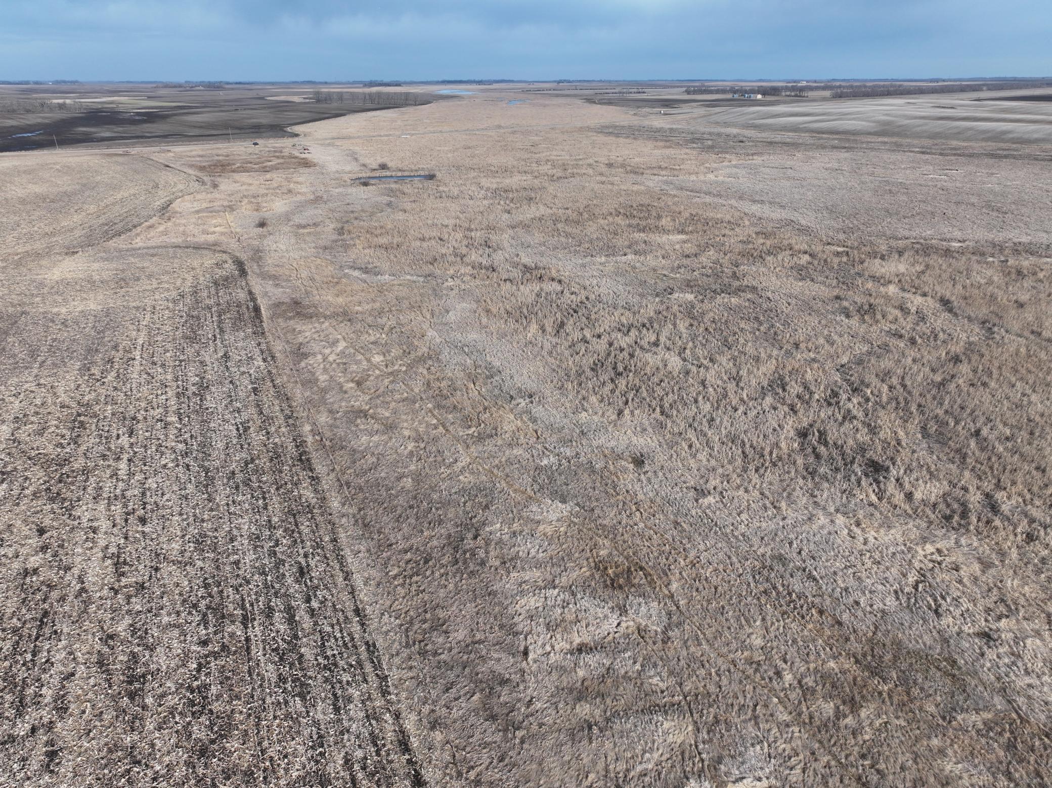 land for sale at TBD County Road 11 in Litchville, ND (photo 19 of 44)