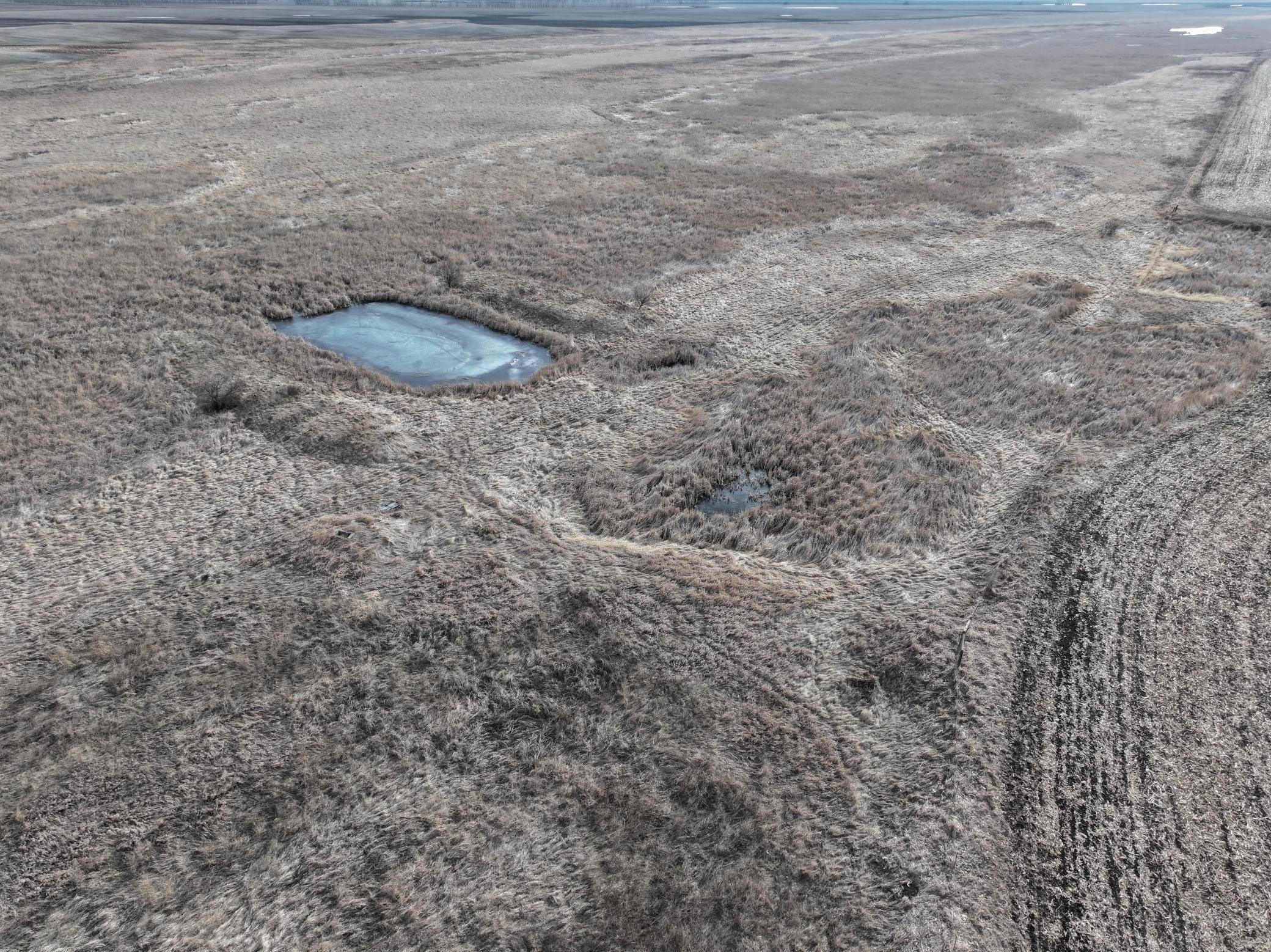 land for sale at TBD County Road 11 in Litchville, ND (photo 21 of 44)