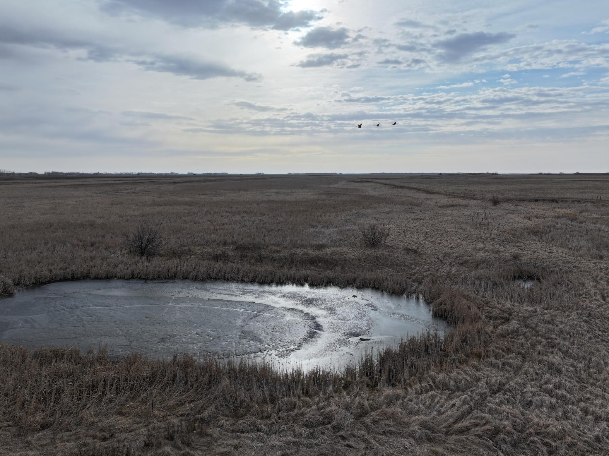land for sale at TBD County Road 11 in Litchville, ND (photo 26 of 44)