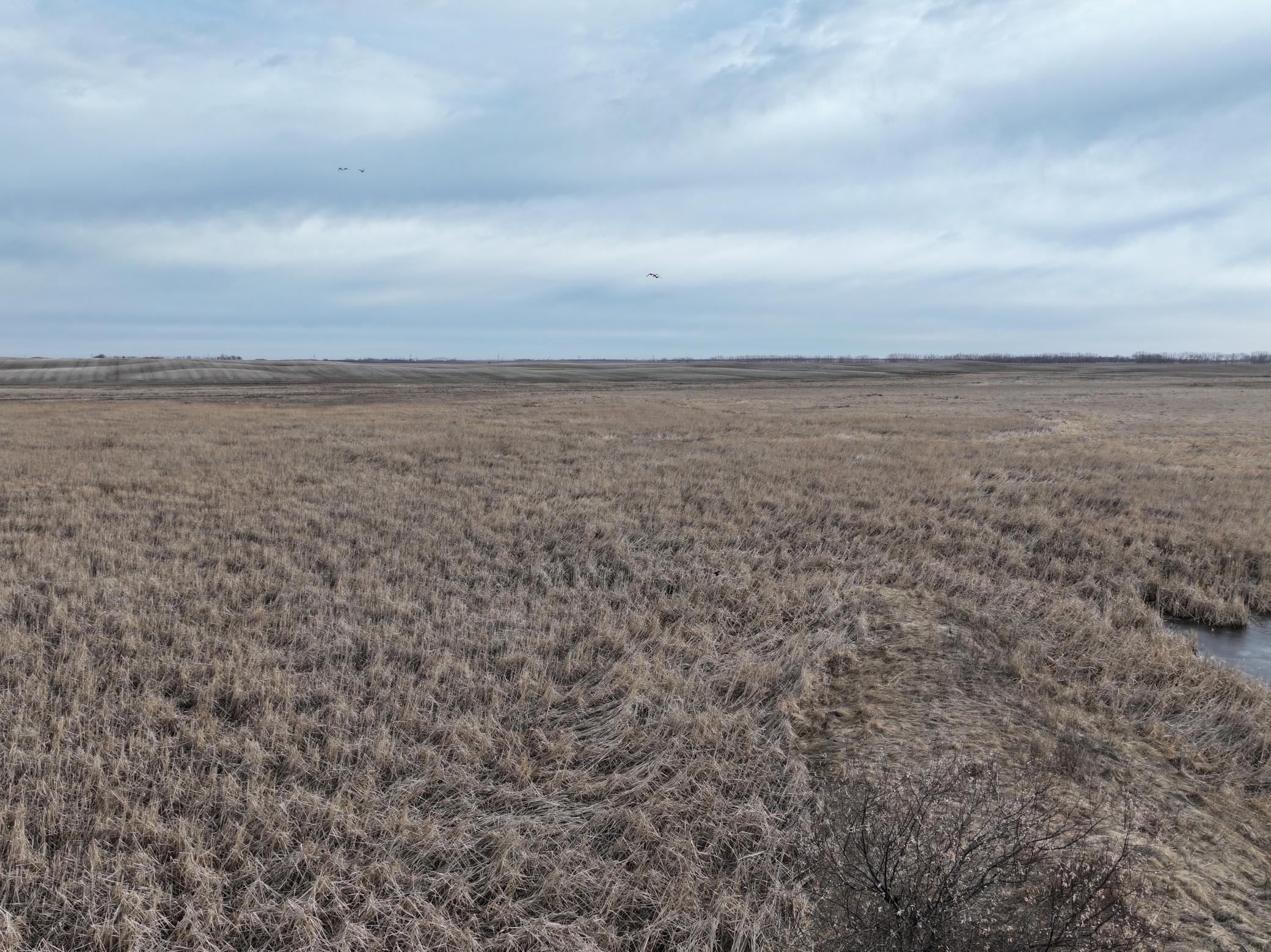 land for sale at TBD County Road 11 in Litchville, ND (photo 27 of 44)