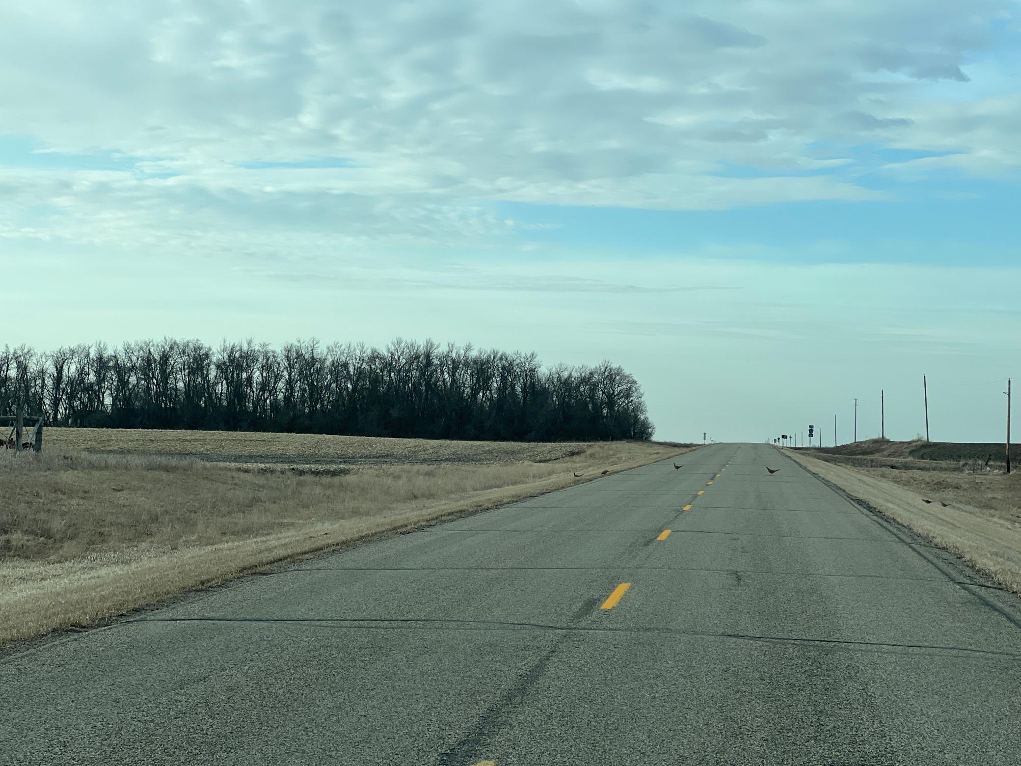 land for sale at TBD County Road 11 in Litchville, ND (photo 28 of 44)