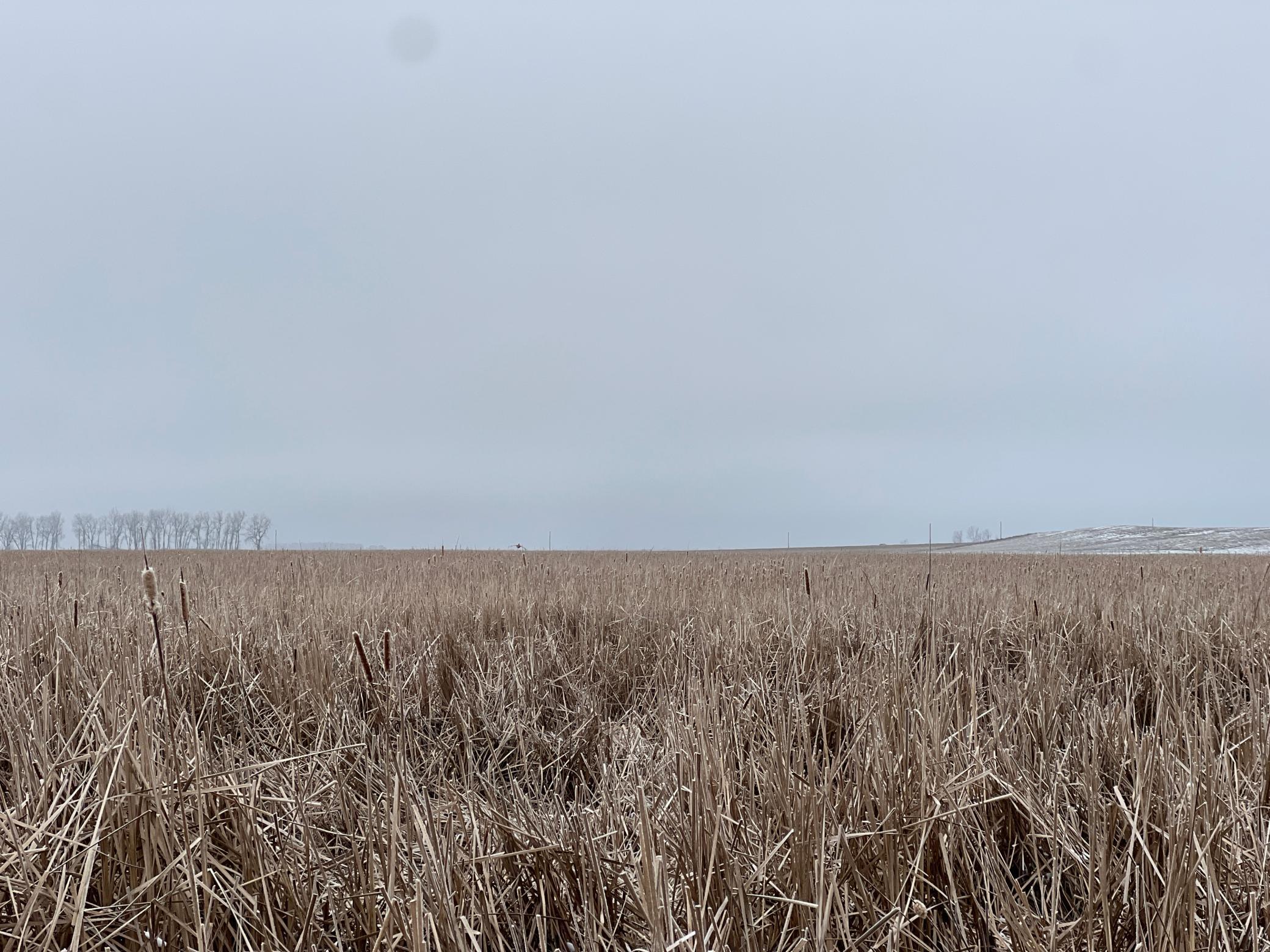land for sale at TBD County Road 11 in Litchville, ND (photo 30 of 44)