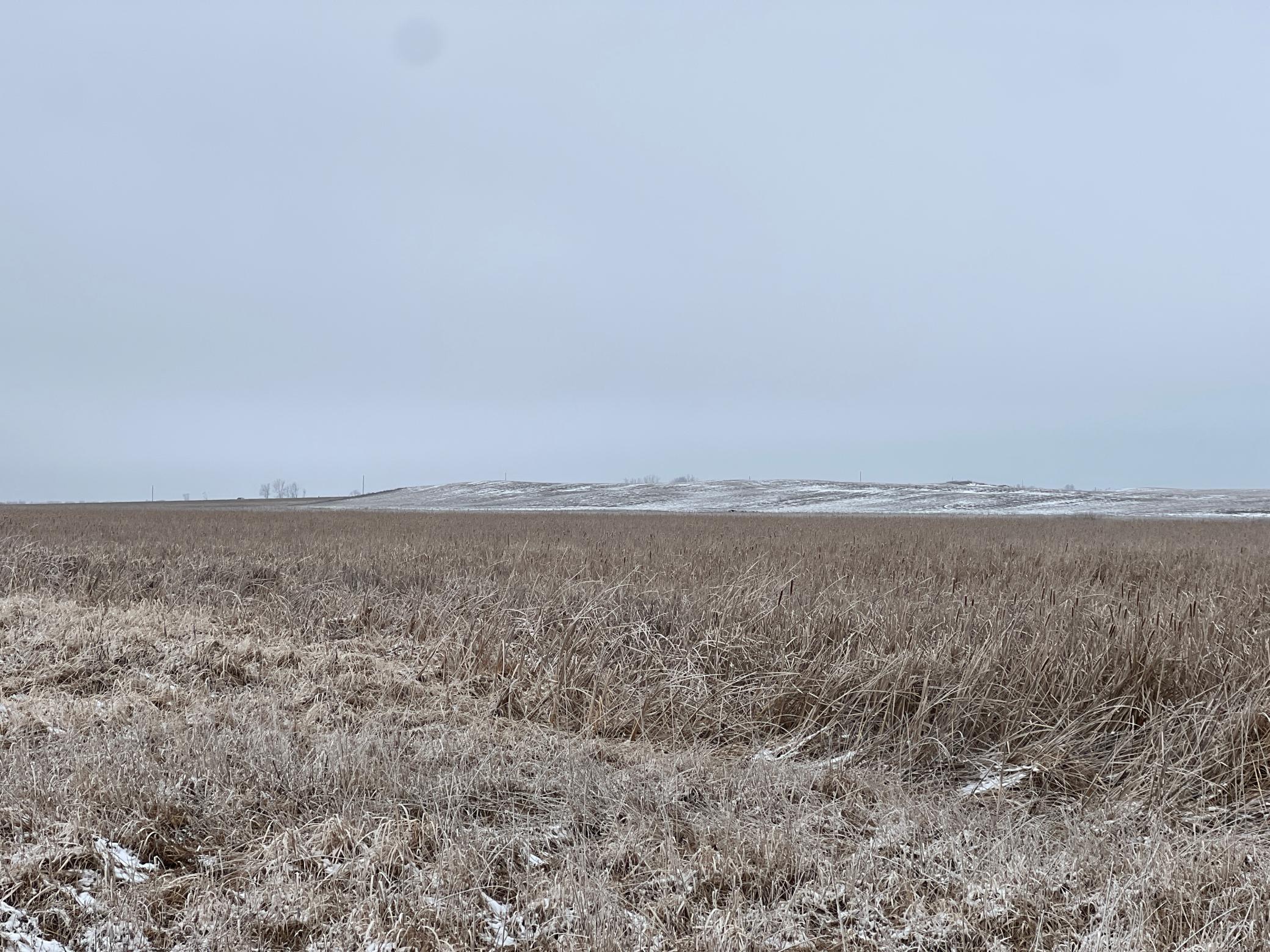 land for sale at TBD County Road 11 in Litchville, ND (photo 31 of 44)