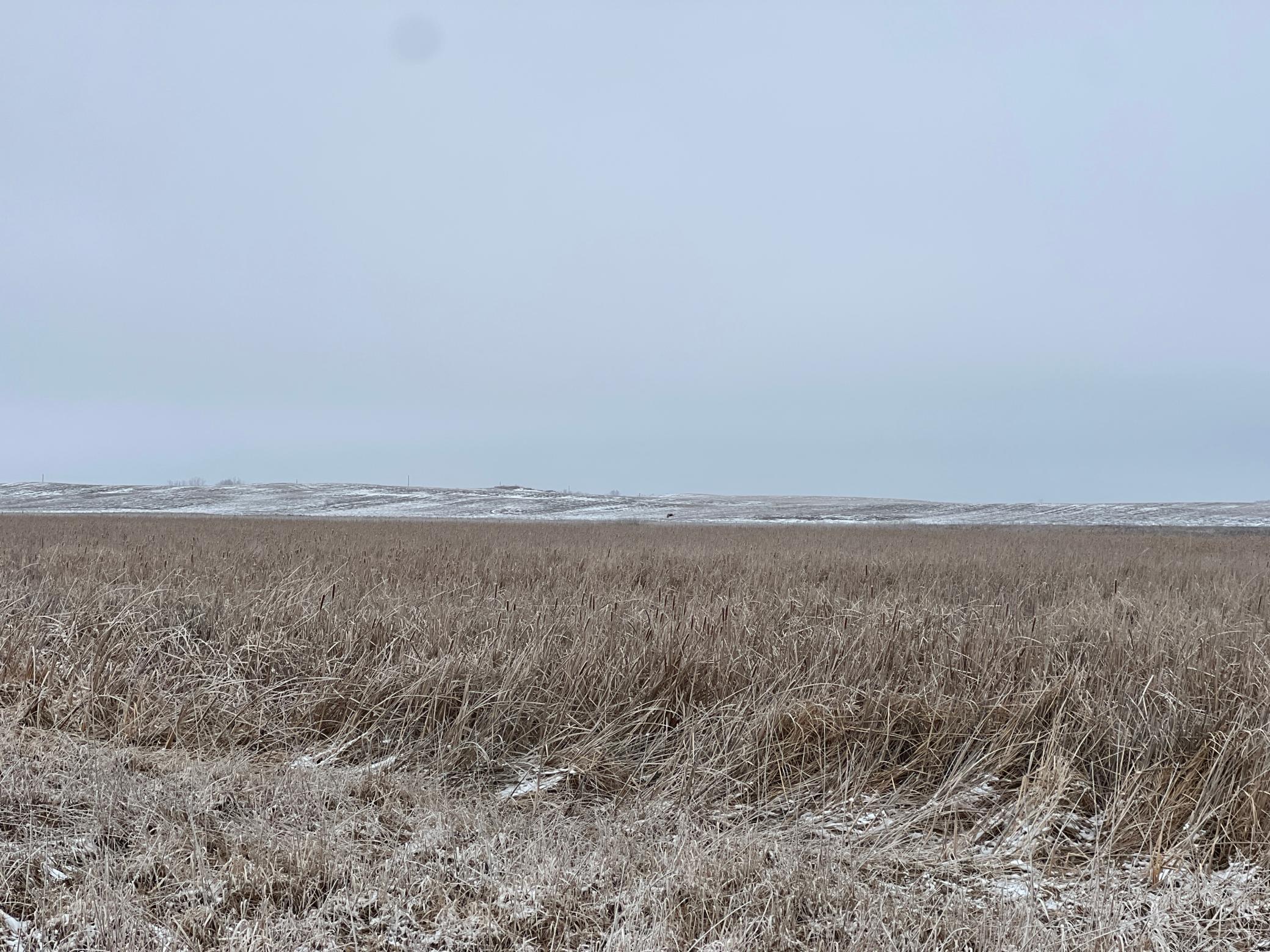 land for sale at TBD County Road 11 in Litchville, ND (photo 32 of 44)