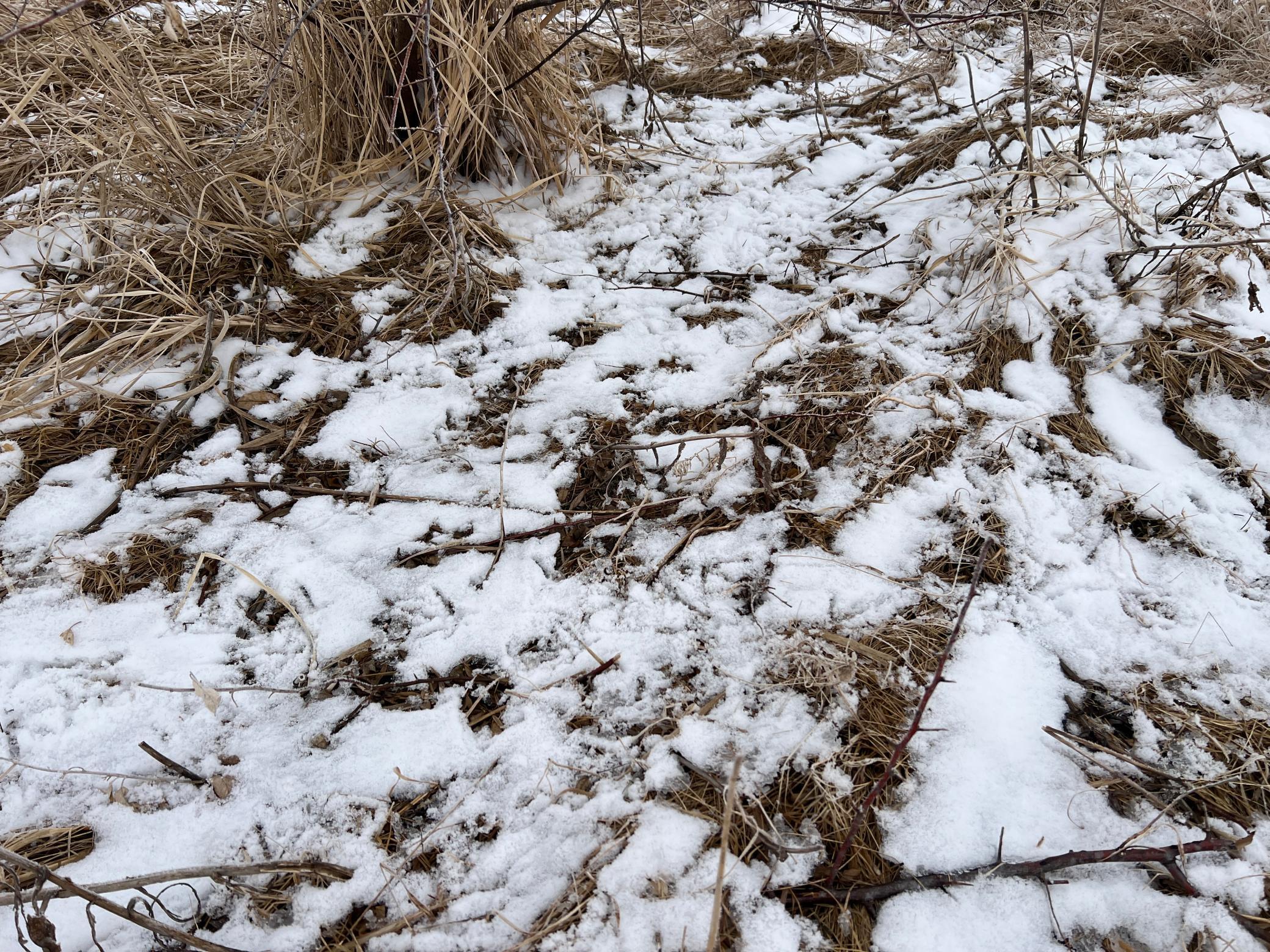 land for sale at TBD County Road 11 in Litchville, ND (photo 34 of 44)