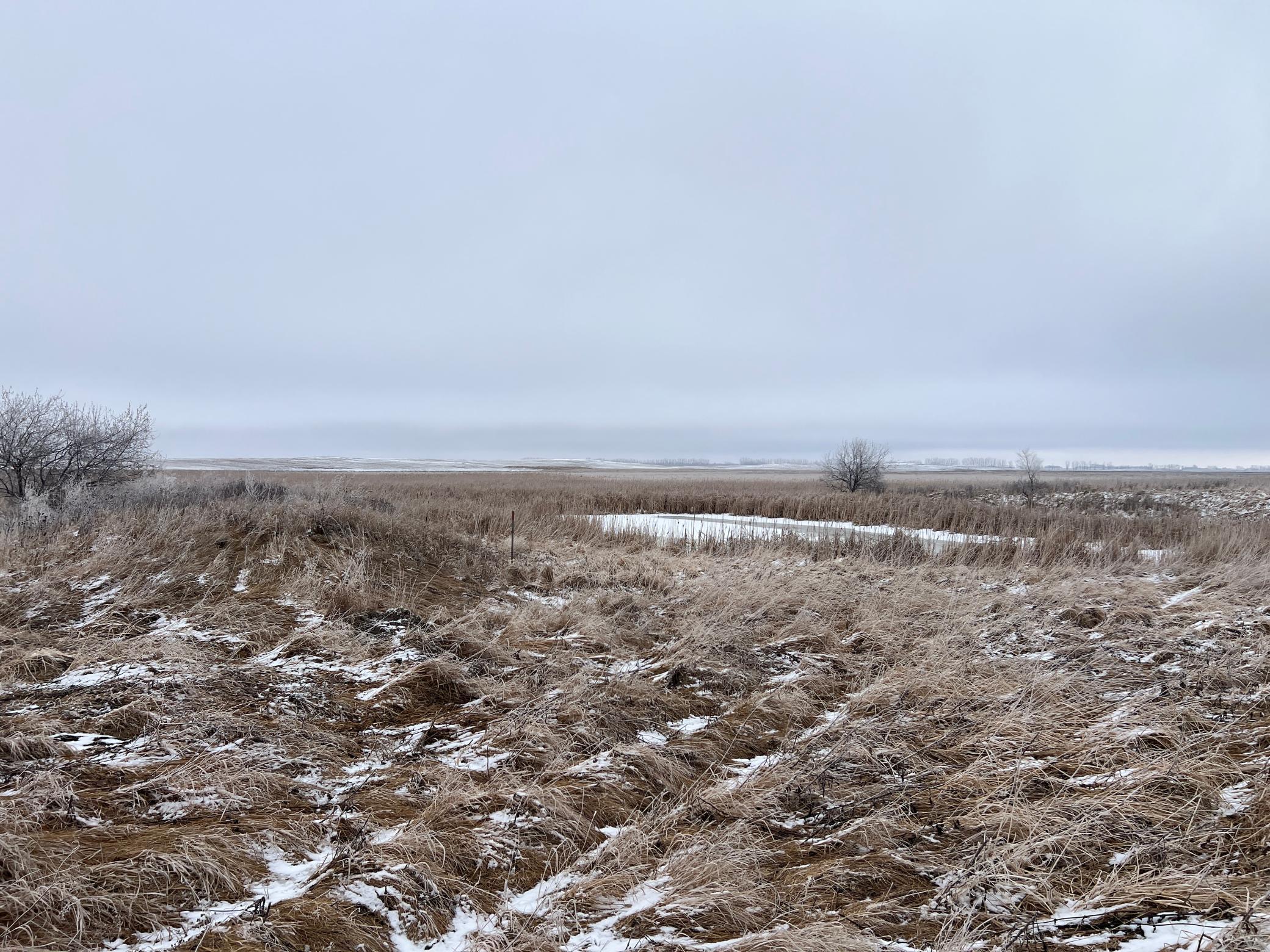 land for sale at TBD County Road 11 in Litchville, ND (photo 39 of 44)