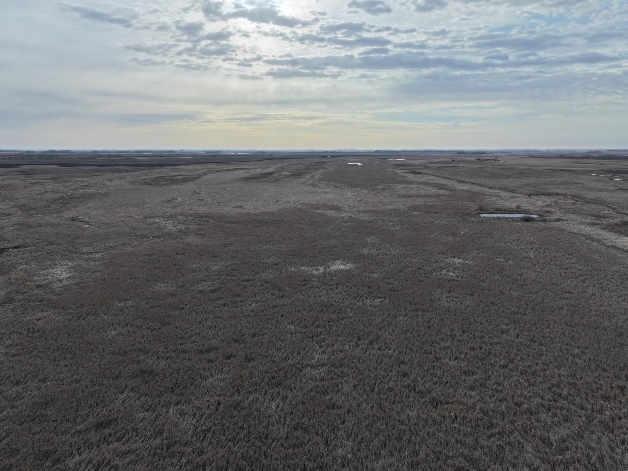 land for sale at TBD County Road 11 in Litchville, ND (photo 5 of 44)