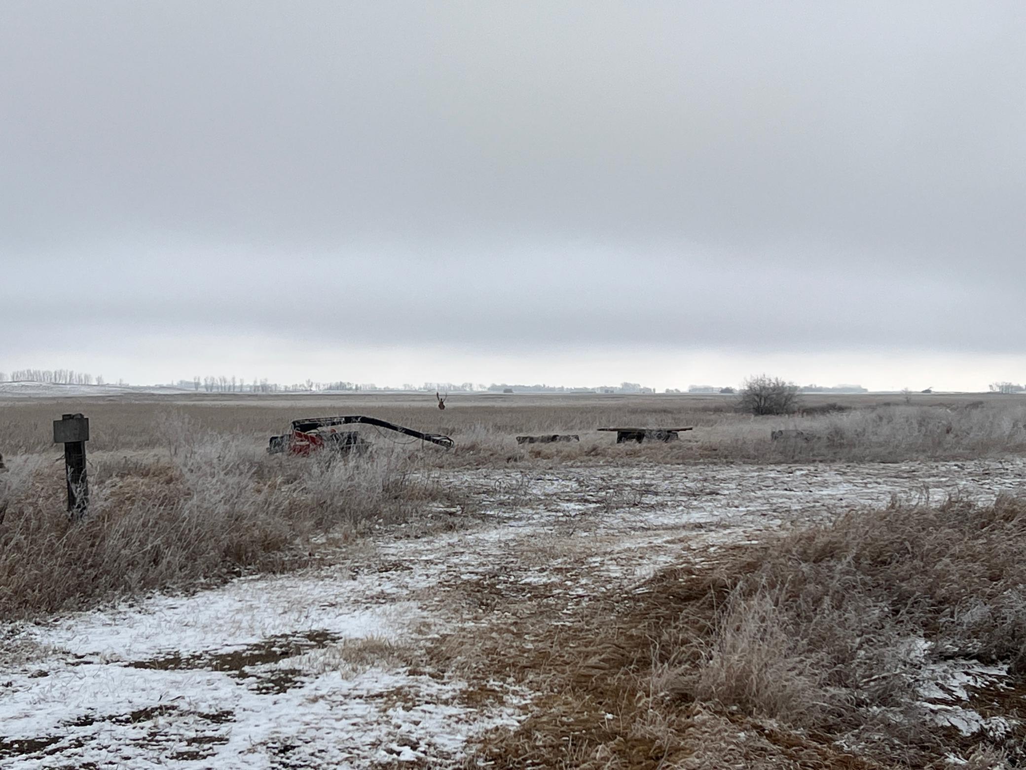 land for sale at TBD County Road 11 in Litchville, ND (photo 41 of 44)