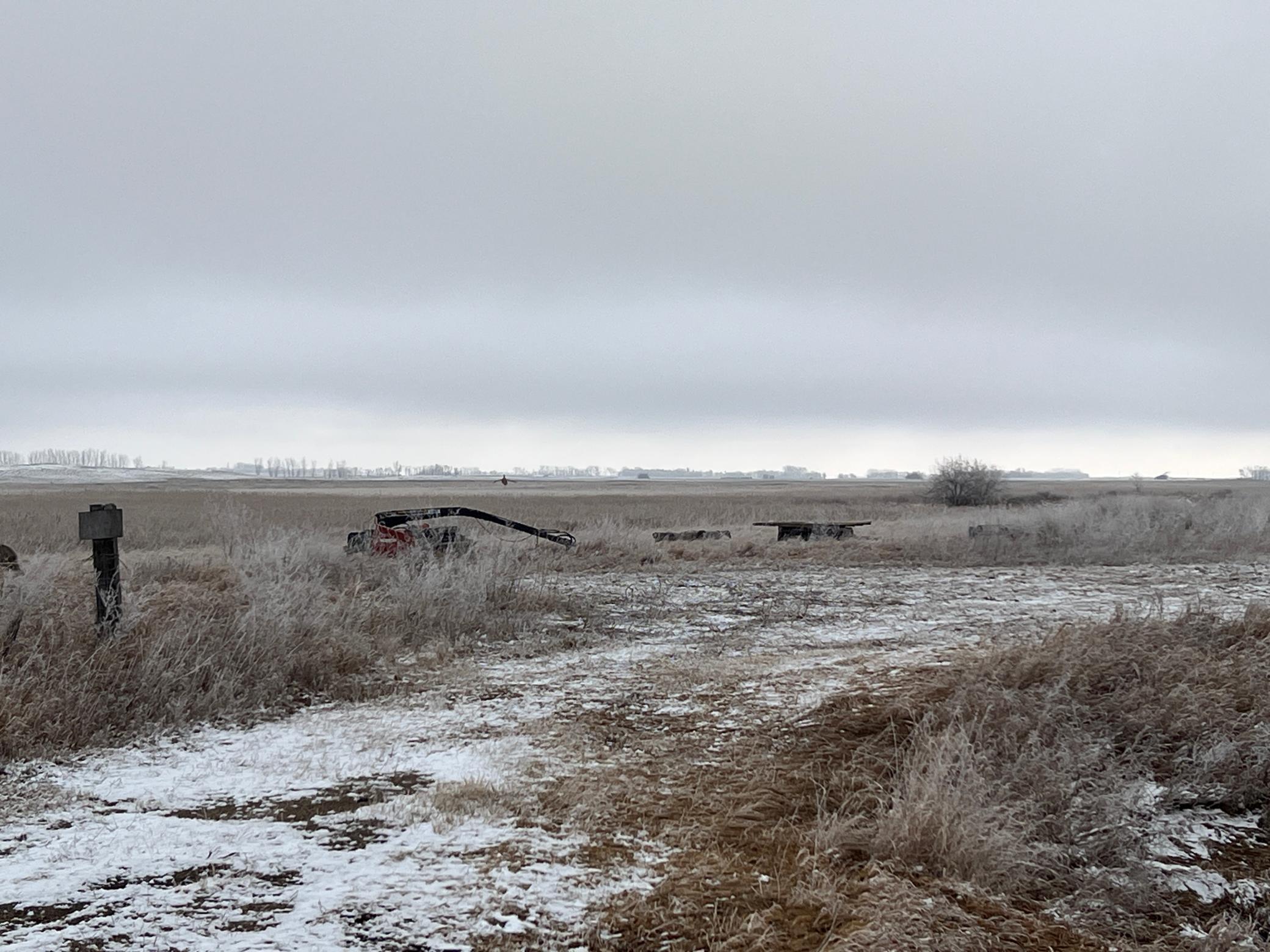 land for sale at TBD County Road 11 in Litchville, ND (photo 42 of 44)