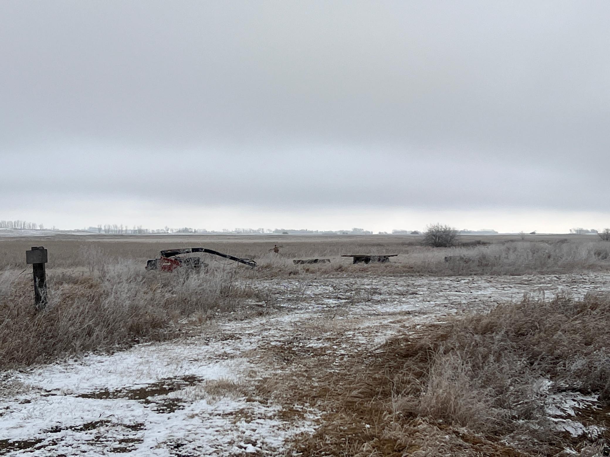 land for sale at TBD County Road 11 in Litchville, ND (photo 43 of 44)