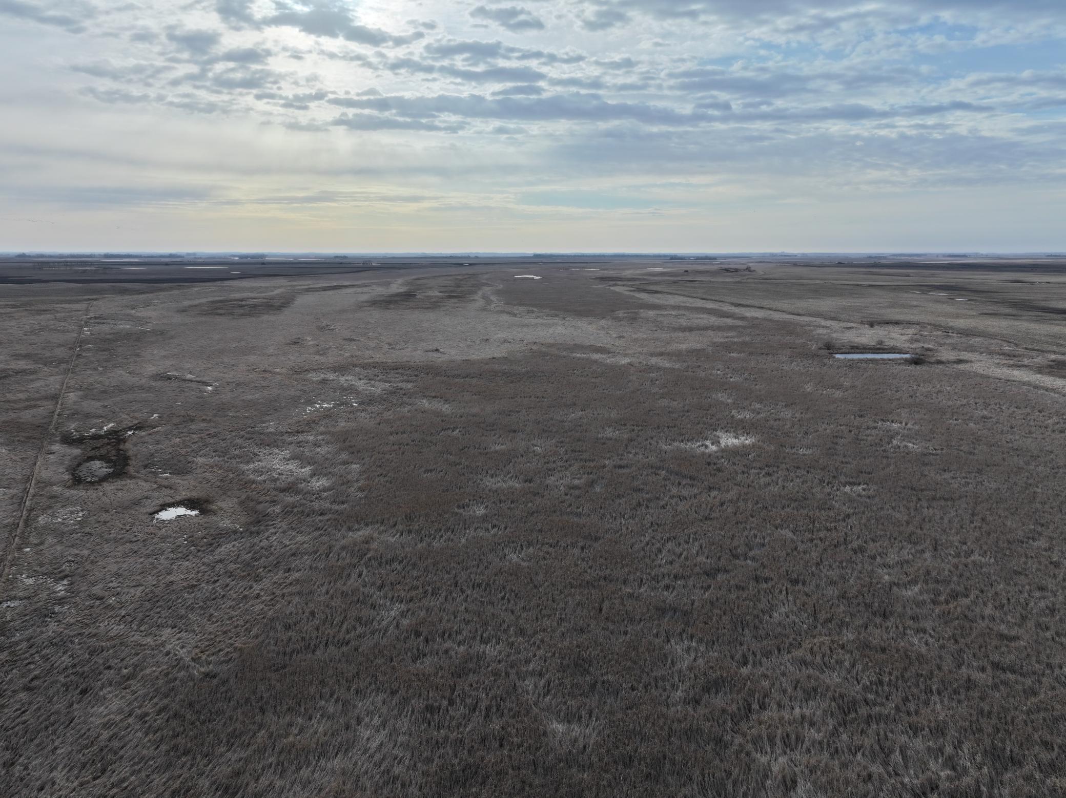 land for sale at TBD County Road 11 in Litchville, ND (photo 6 of 44)