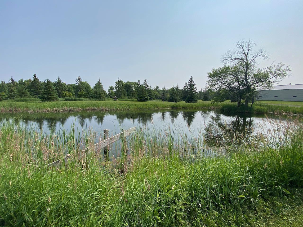 26055 Alvwood Road NE, Blackduck MN 56630 - Photo 10 of 62