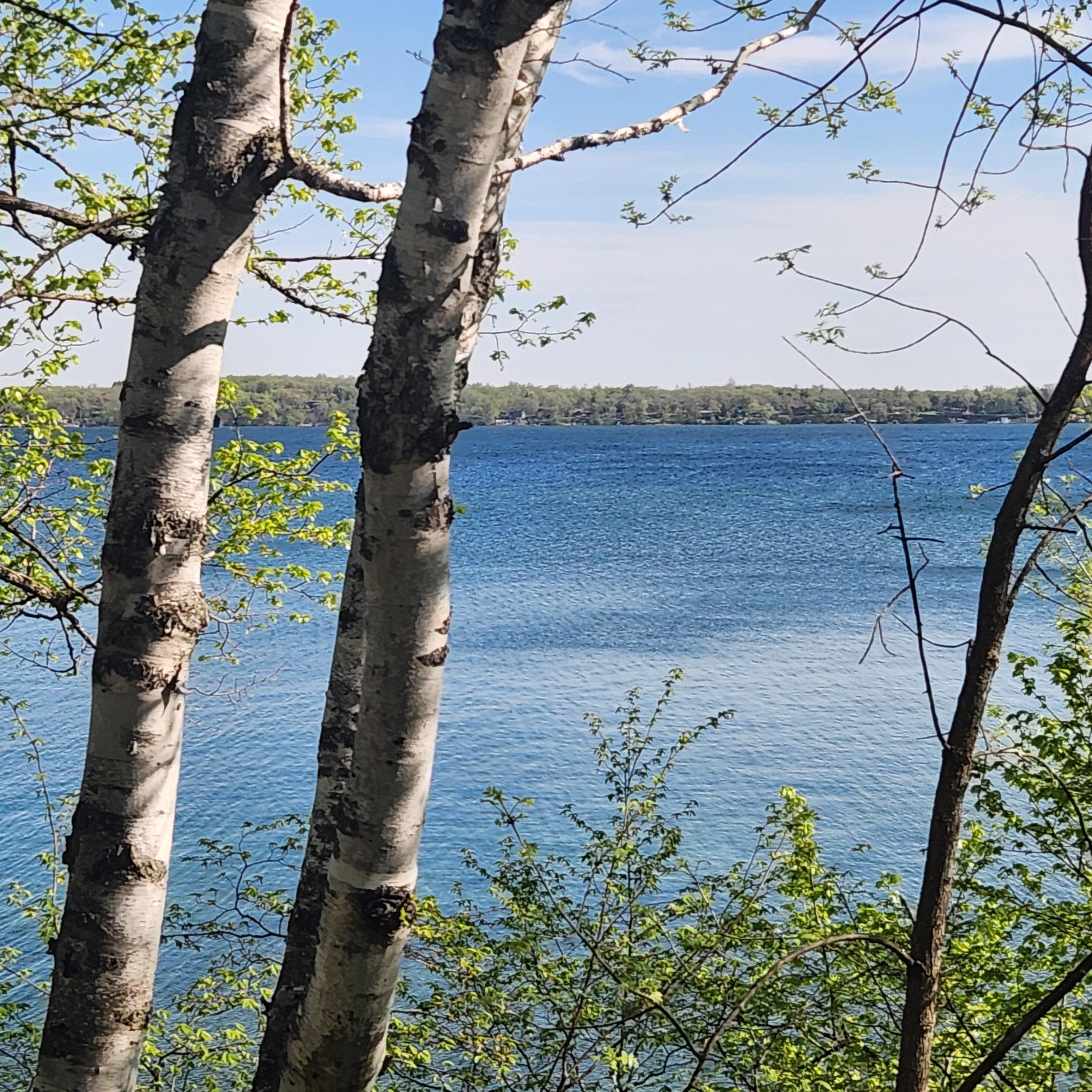 land for sale at TBD Knollwood Lane in Pelican Rapids, MN