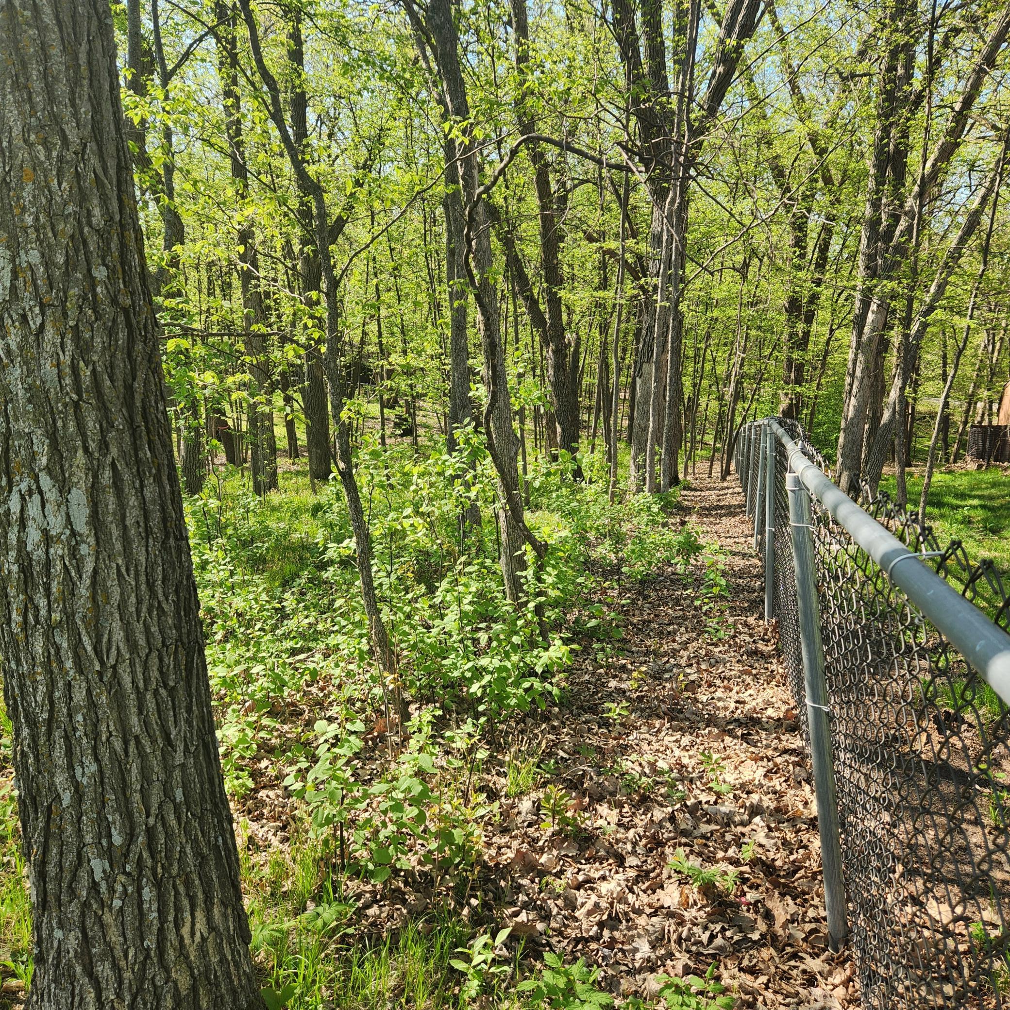 land for sale at TBD Knollwood Lane in Pelican Rapids, MN (photo 9 of 12)