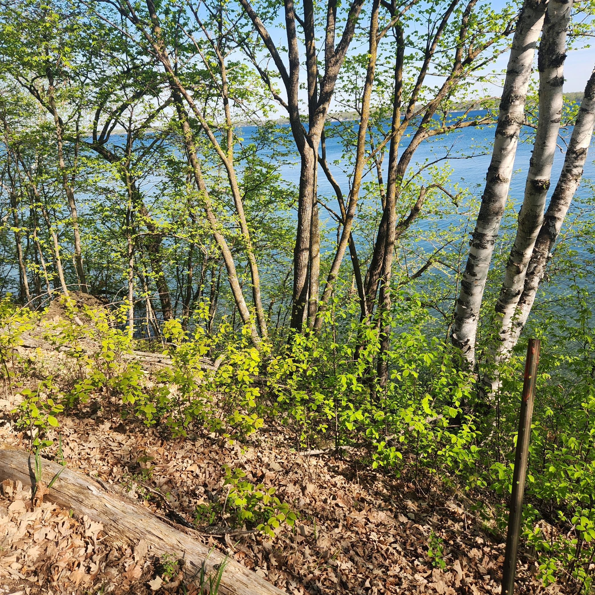 land for sale at TBD Knollwood Lane in Pelican Rapids, MN (photo 3 of 12)