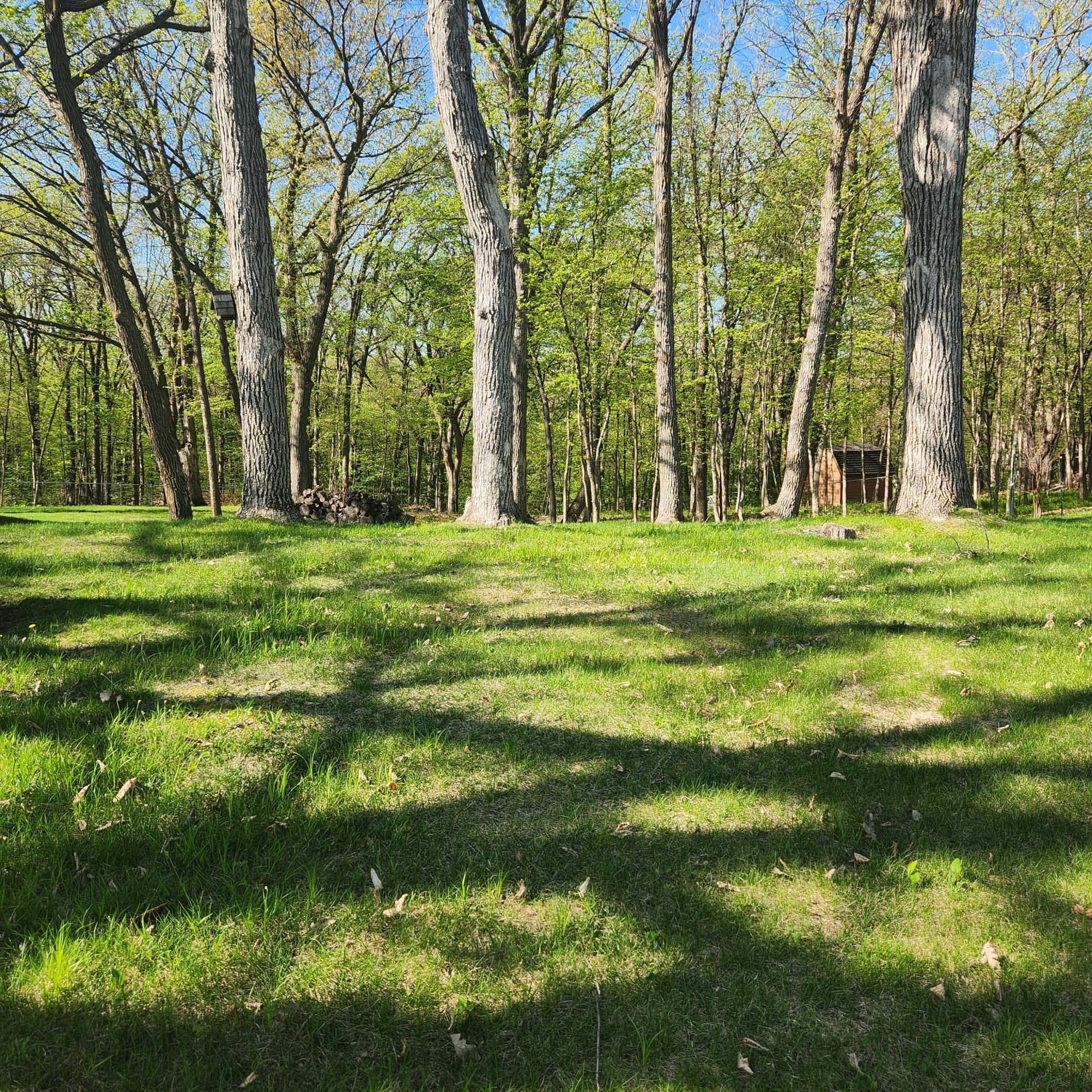 land for sale at TBD Knollwood Lane in Pelican Rapids, MN (photo 6 of 12)