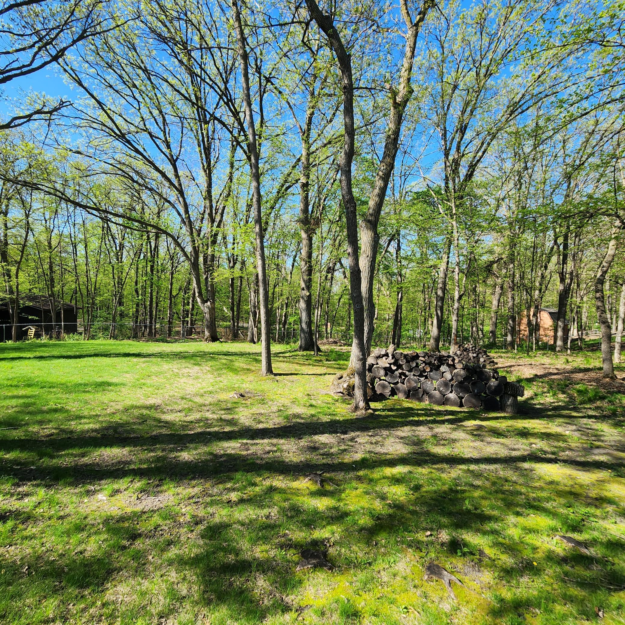 land for sale at TBD Knollwood Lane in Pelican Rapids, MN (photo 8 of 12)