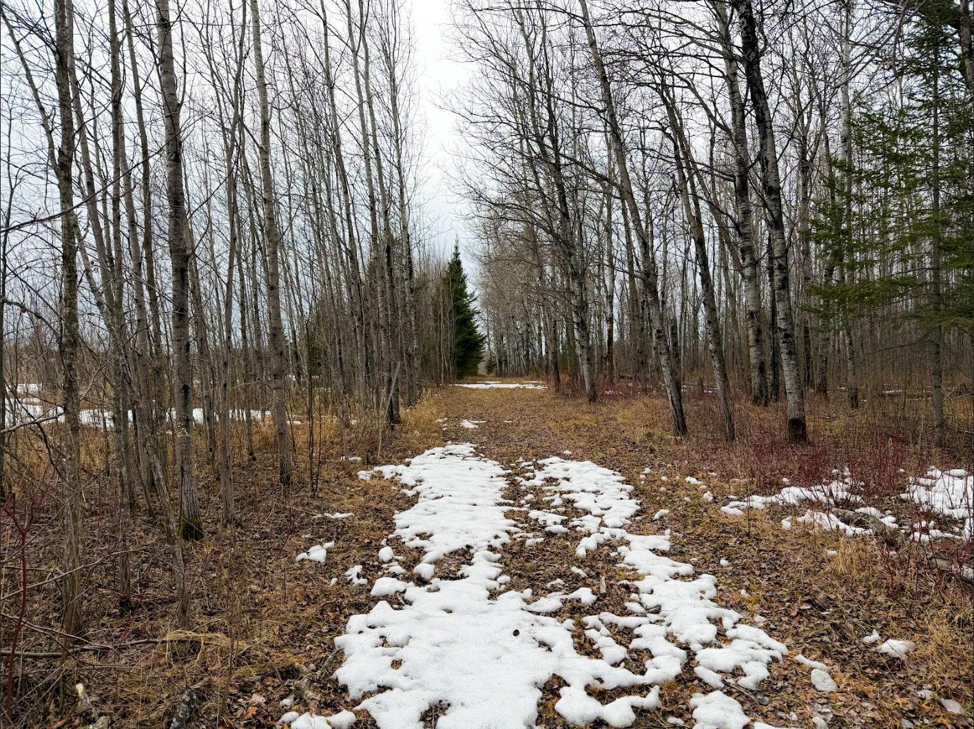 2001 single family home for sale at 28465 Highway 71 NE in Blackduck, MN — 2 bed, 1 bath (photo 16 of 21)