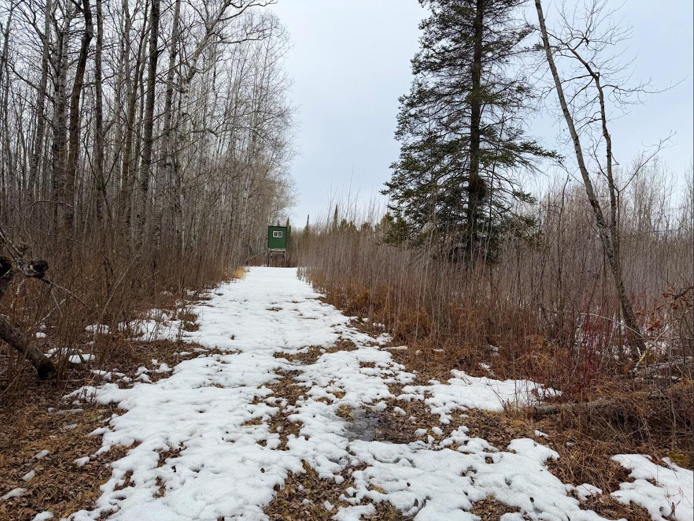 2001 single family home for sale at 28465 Highway 71 NE in Blackduck, MN — 2 bed, 1 bath (photo 18 of 21)