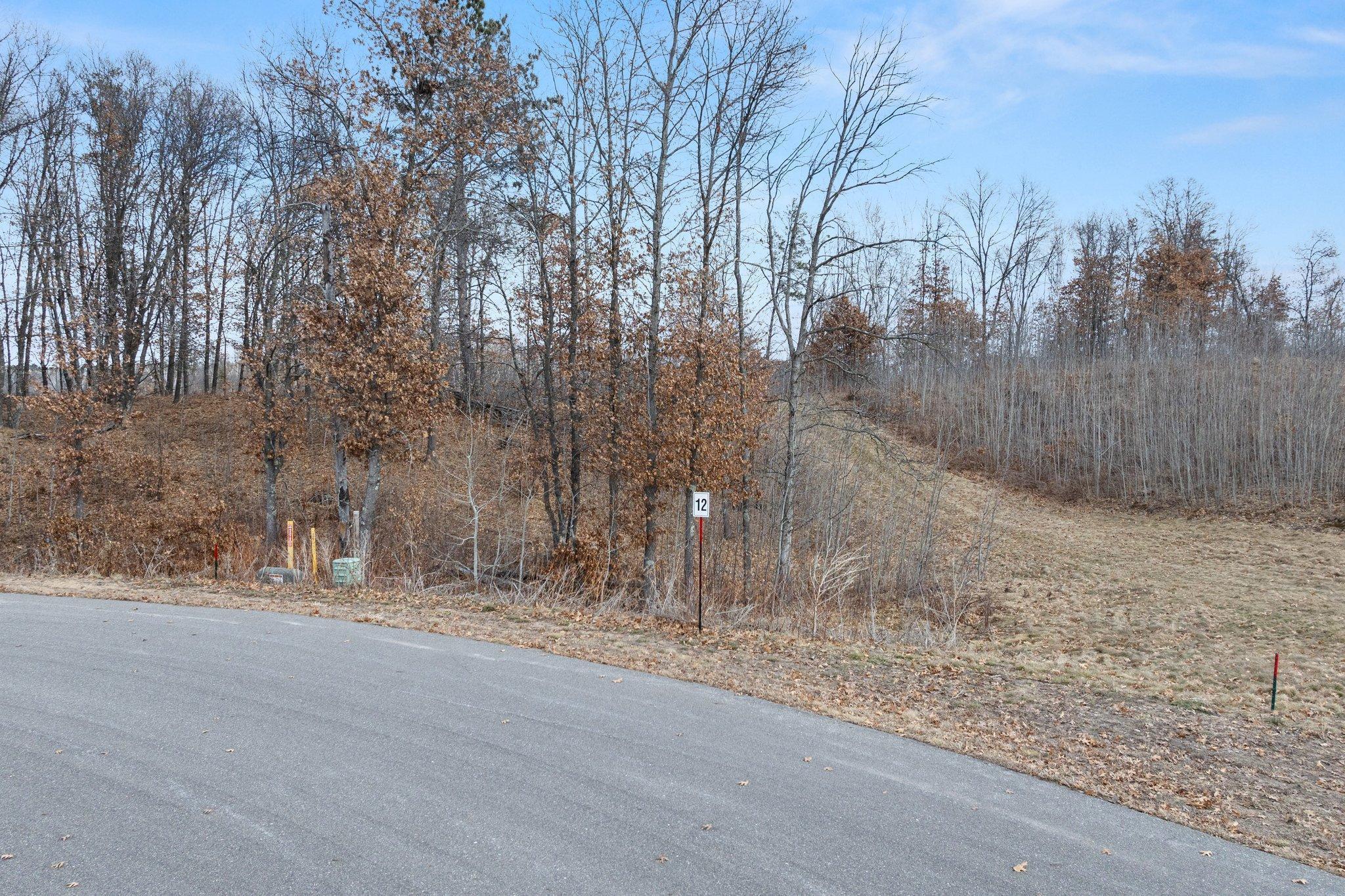 land for sale at TBD Tom Lehman Drive in Brainerd, MN (photo 6 of 14)