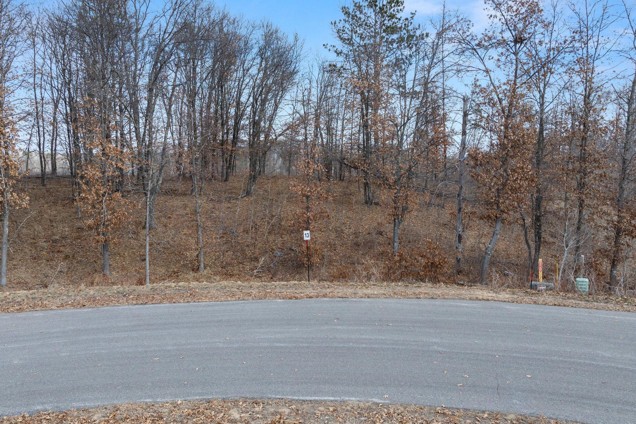 land for sale at 16434 Tom Lehman Drive in Brainerd, MN (photo 2 of 16)